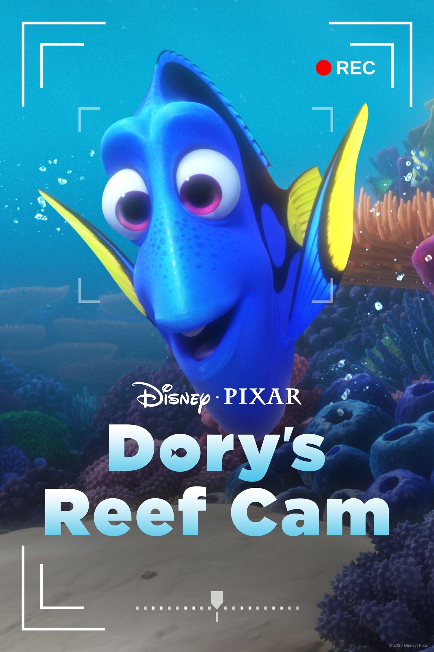 Dory's Reef Cam poster