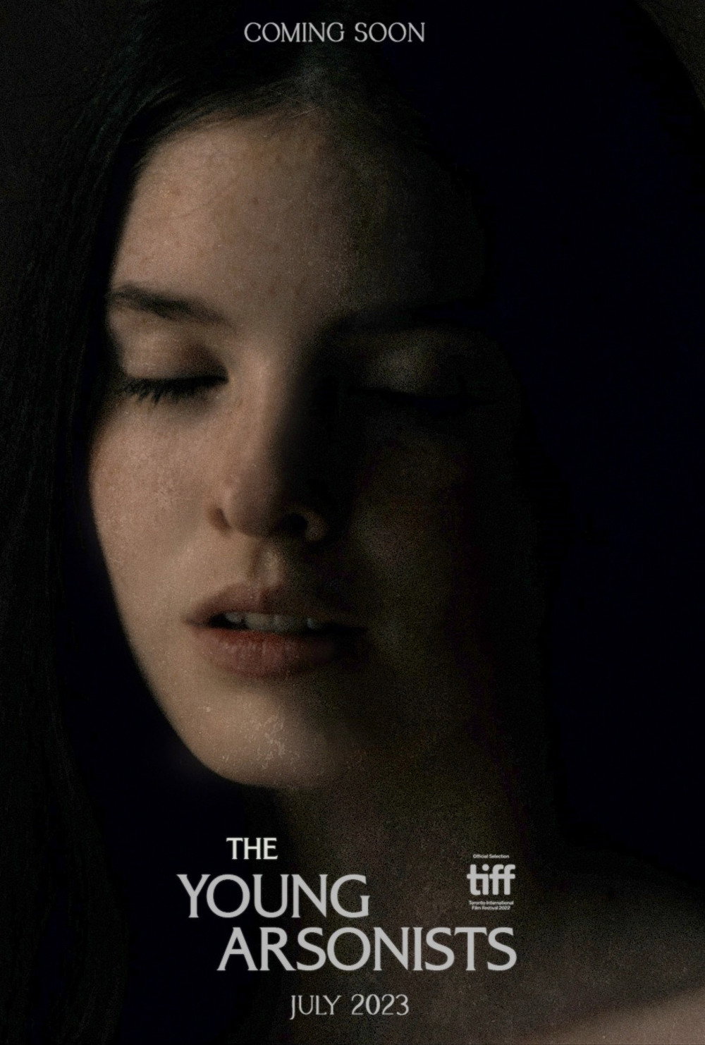 The Young Arsonists poster