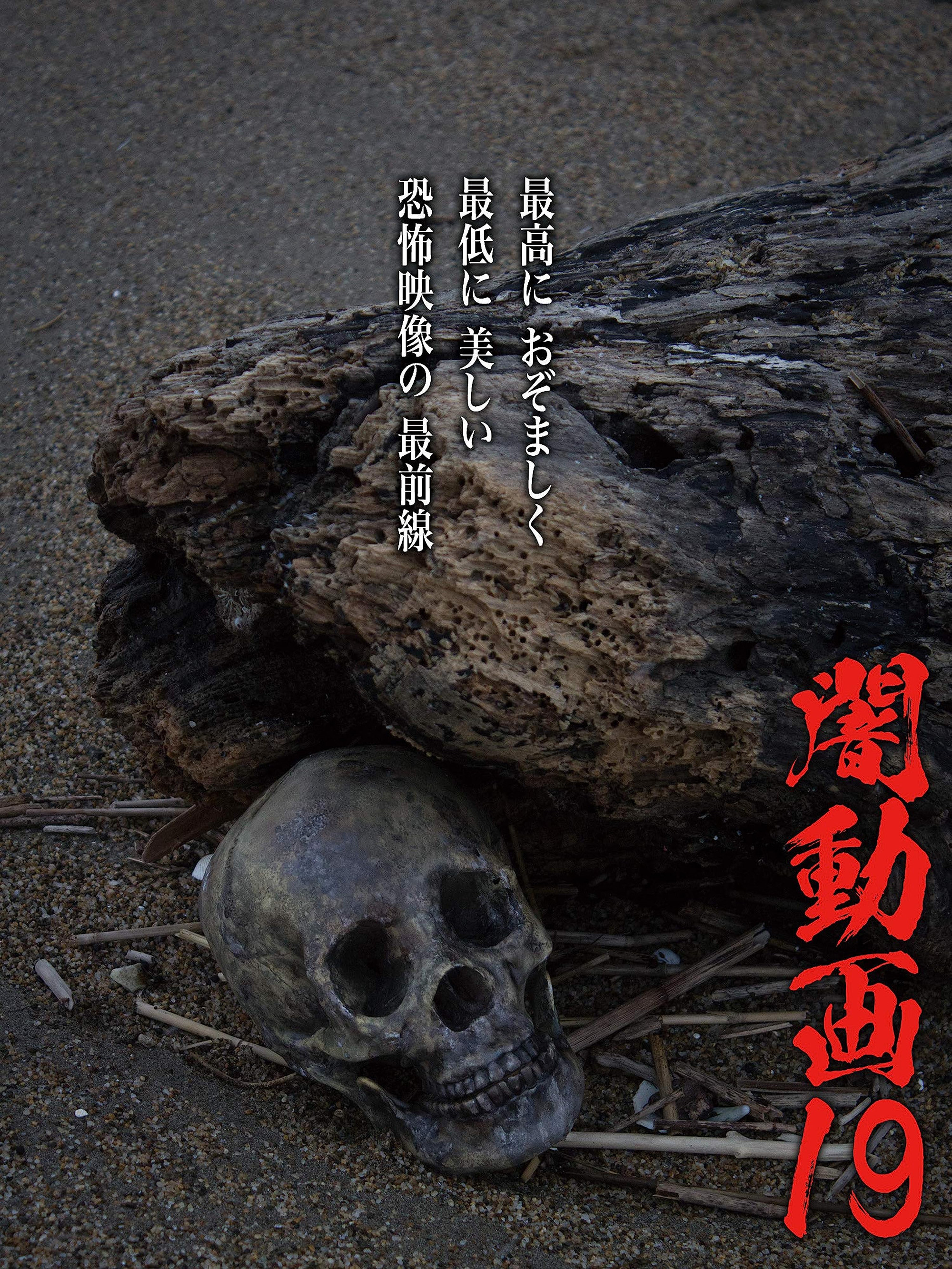 Tokyo Videos of Horror 19 poster