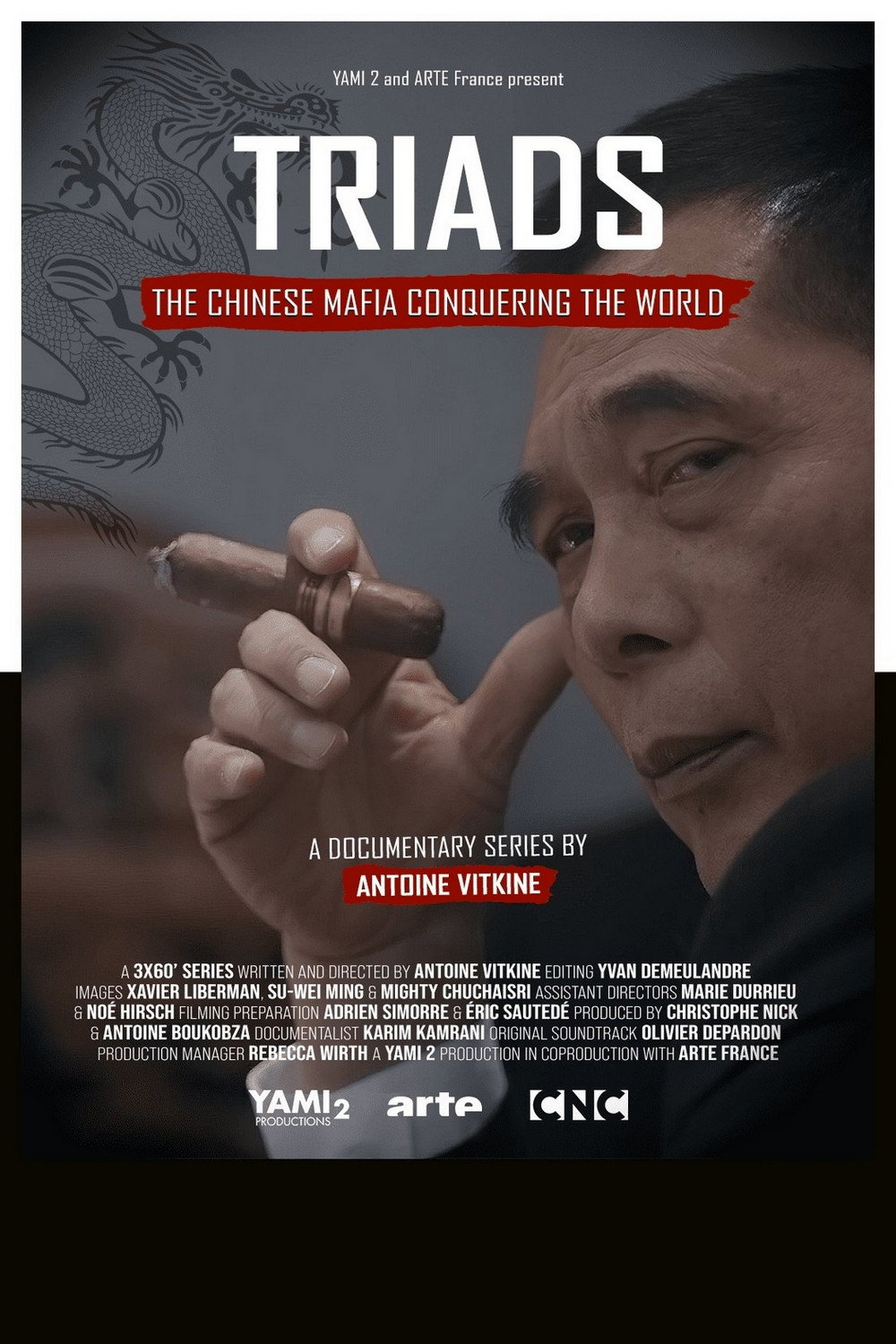 Triads: The Chinese Mafia Conquering the World poster