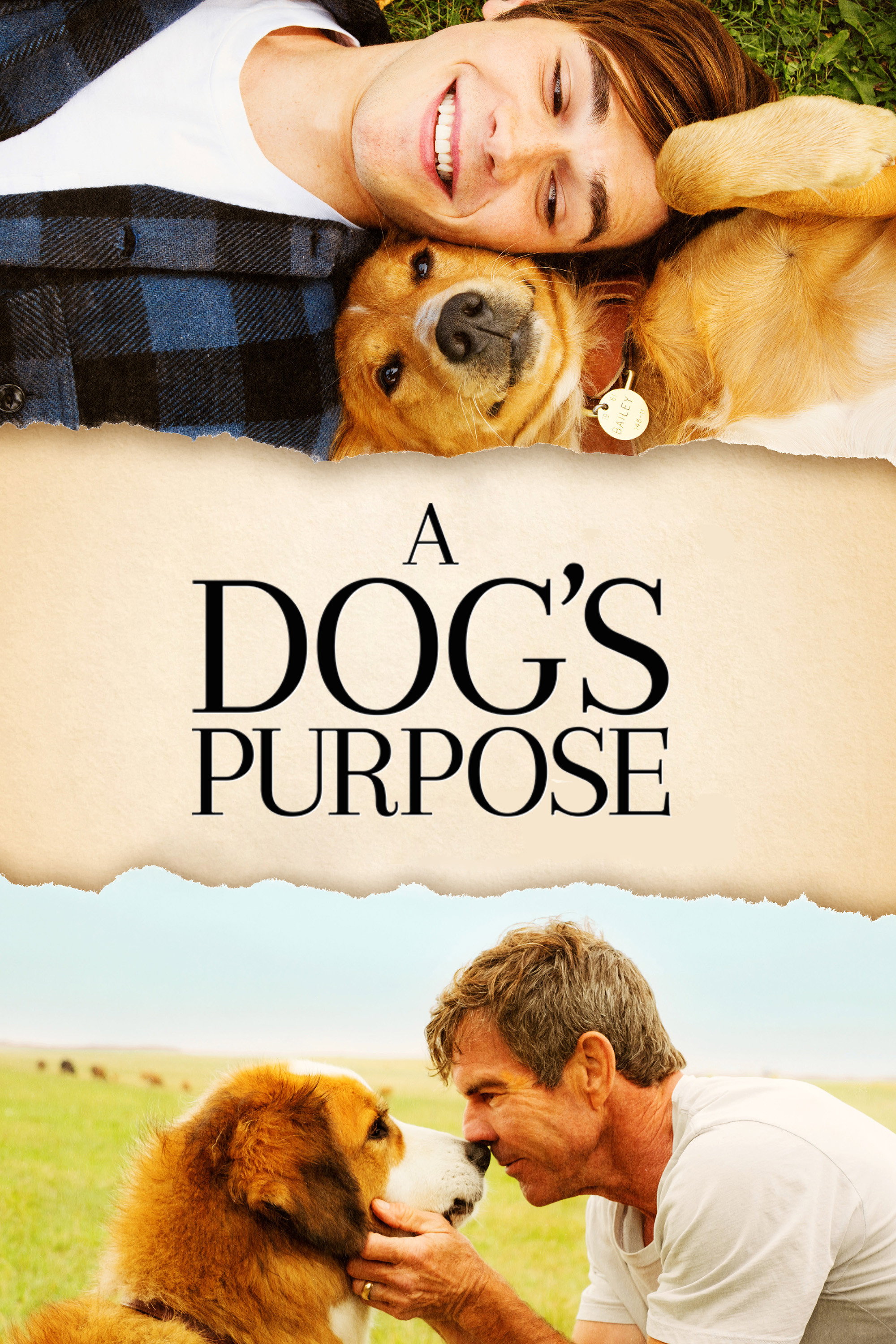 A Dog's Purpose poster