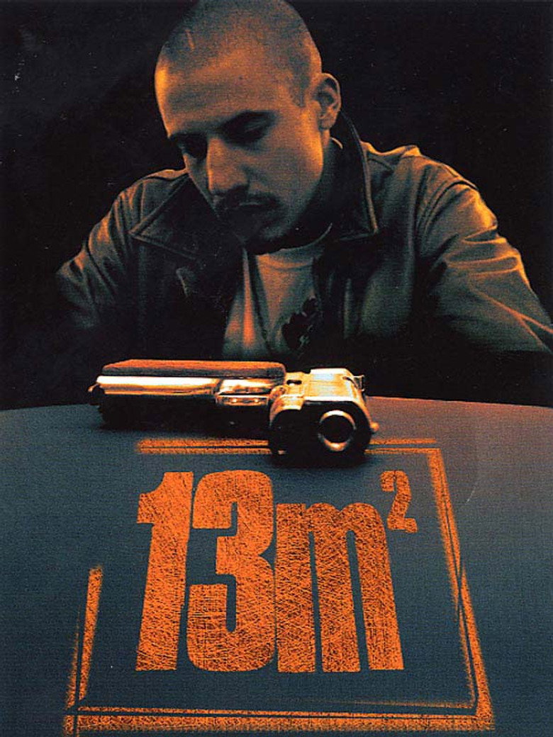 13 m² poster
