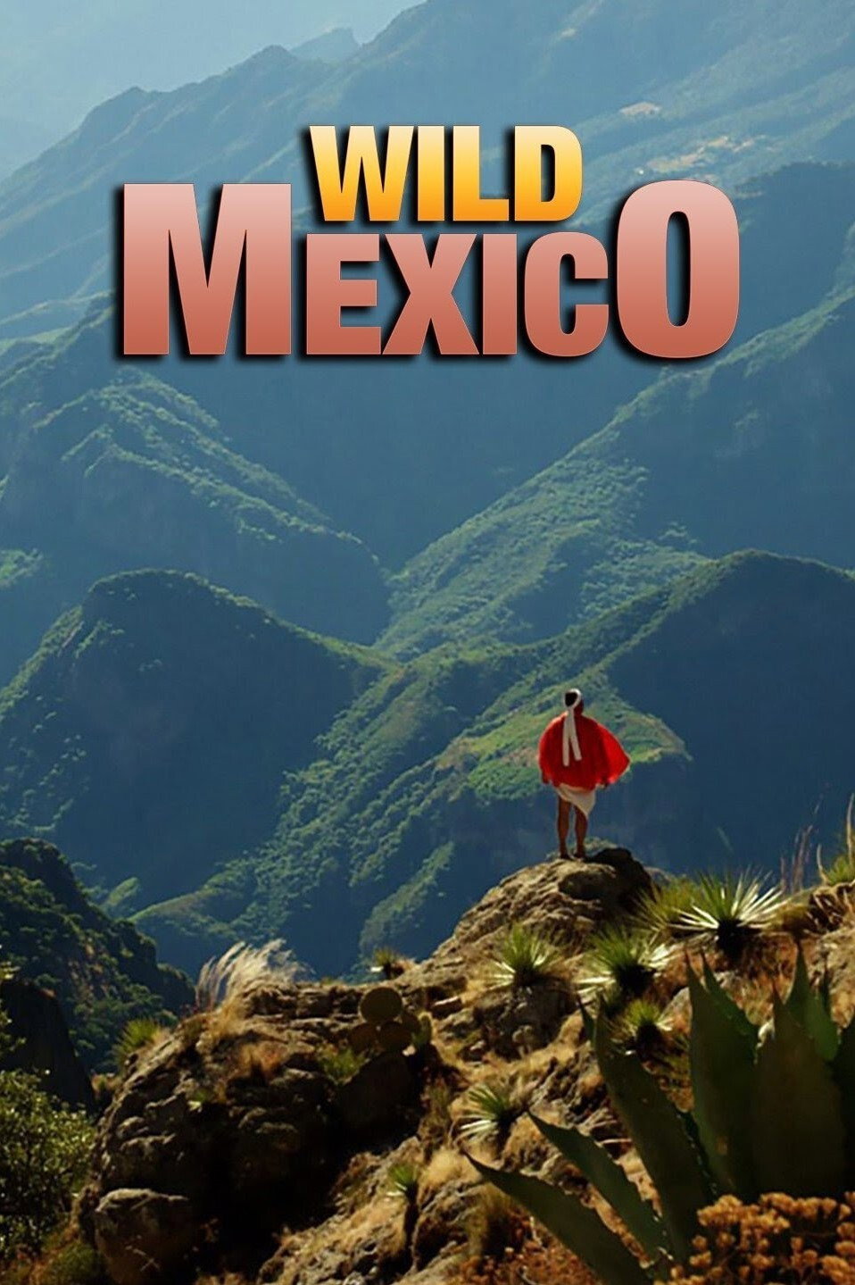 Wild Mexico poster