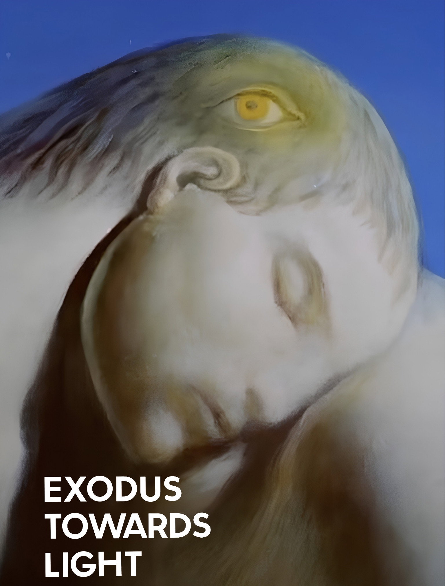 Exodus Towards Light poster