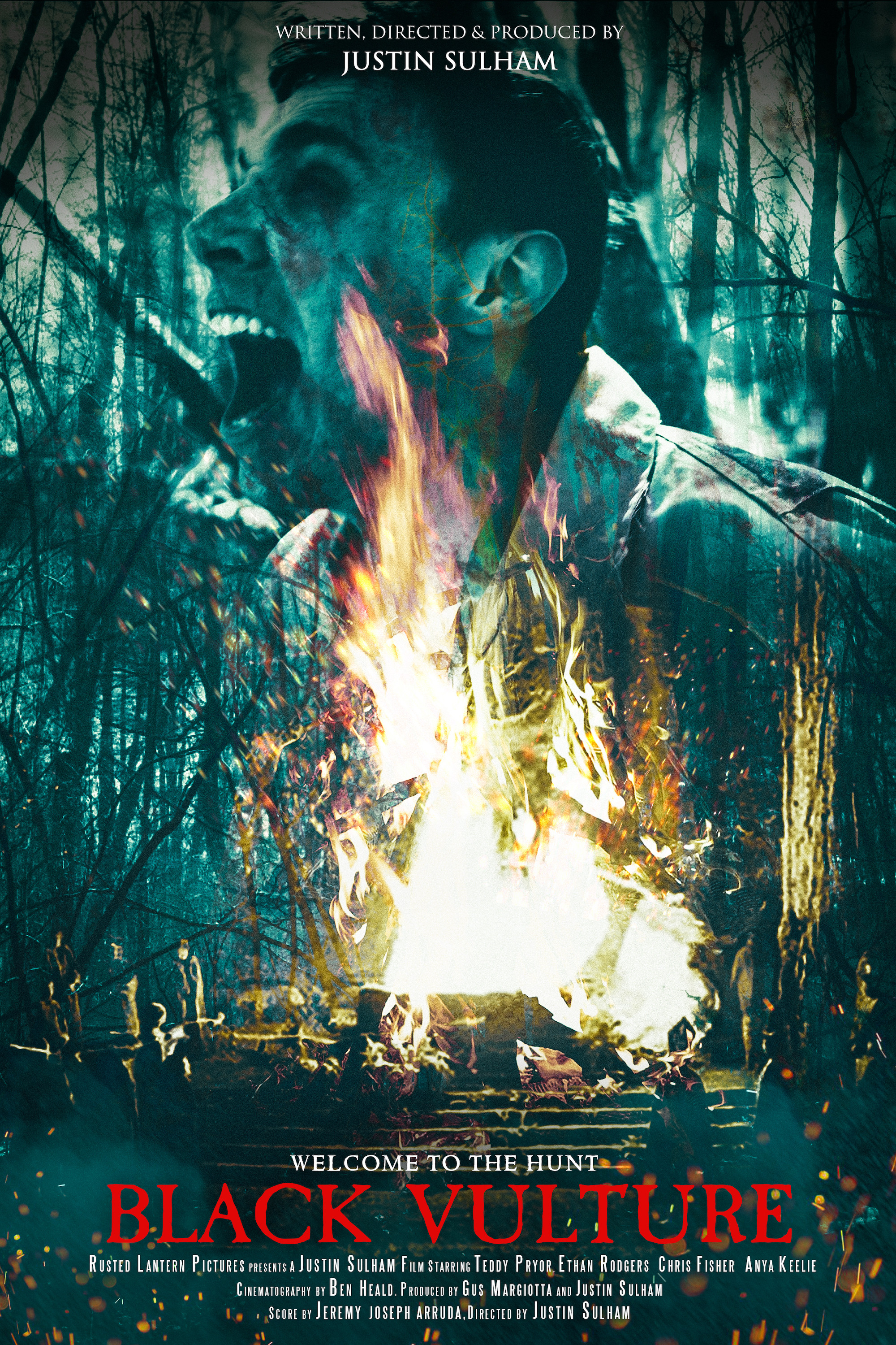 Black Vulture poster
