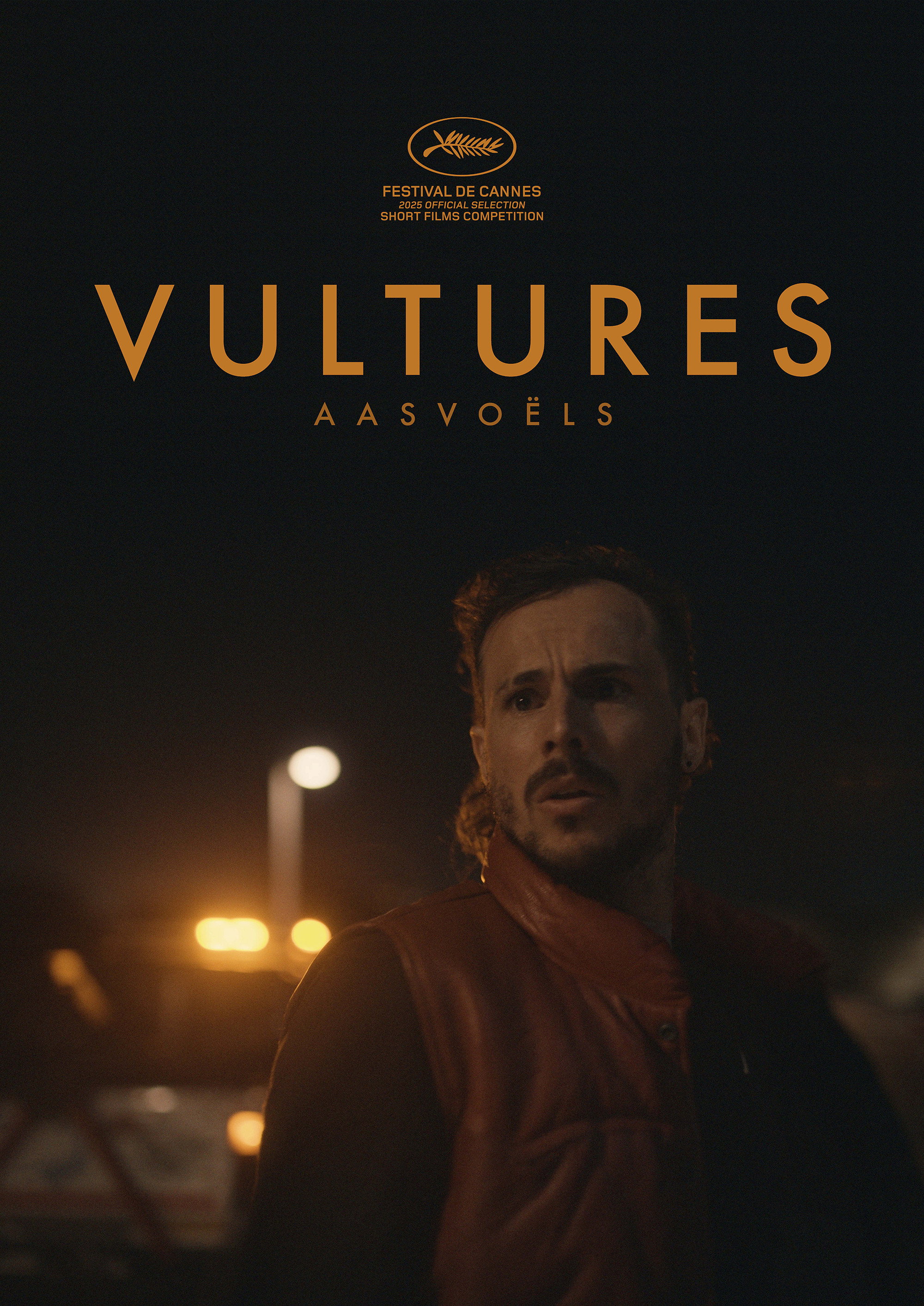 Vultures poster