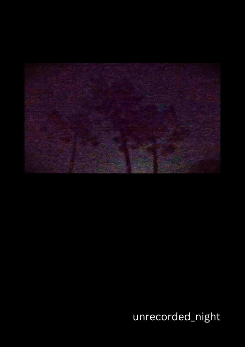 unrecorded_night poster