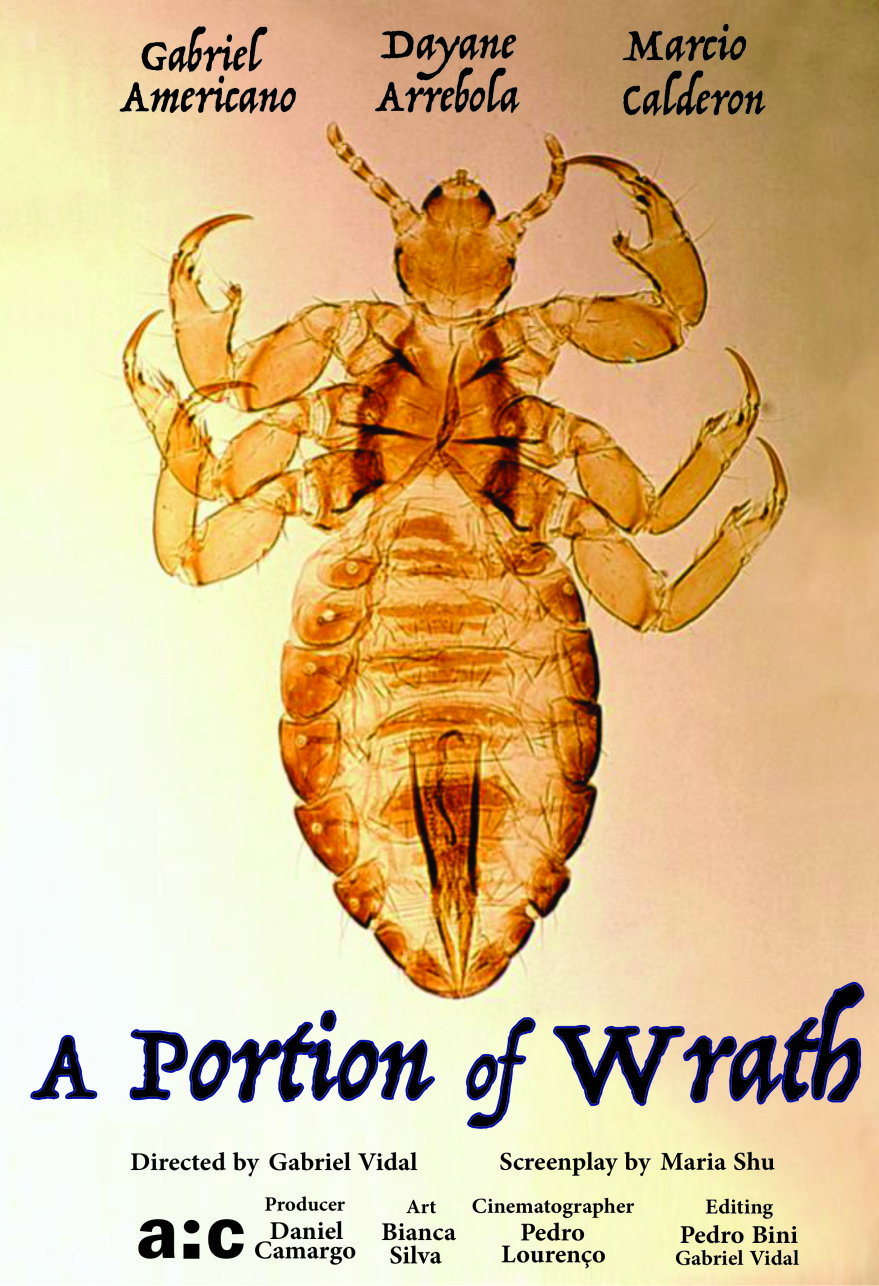 A Portion of Wrath poster