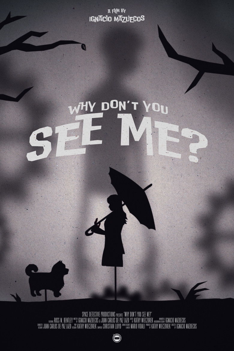 Why Don't You See Me? poster