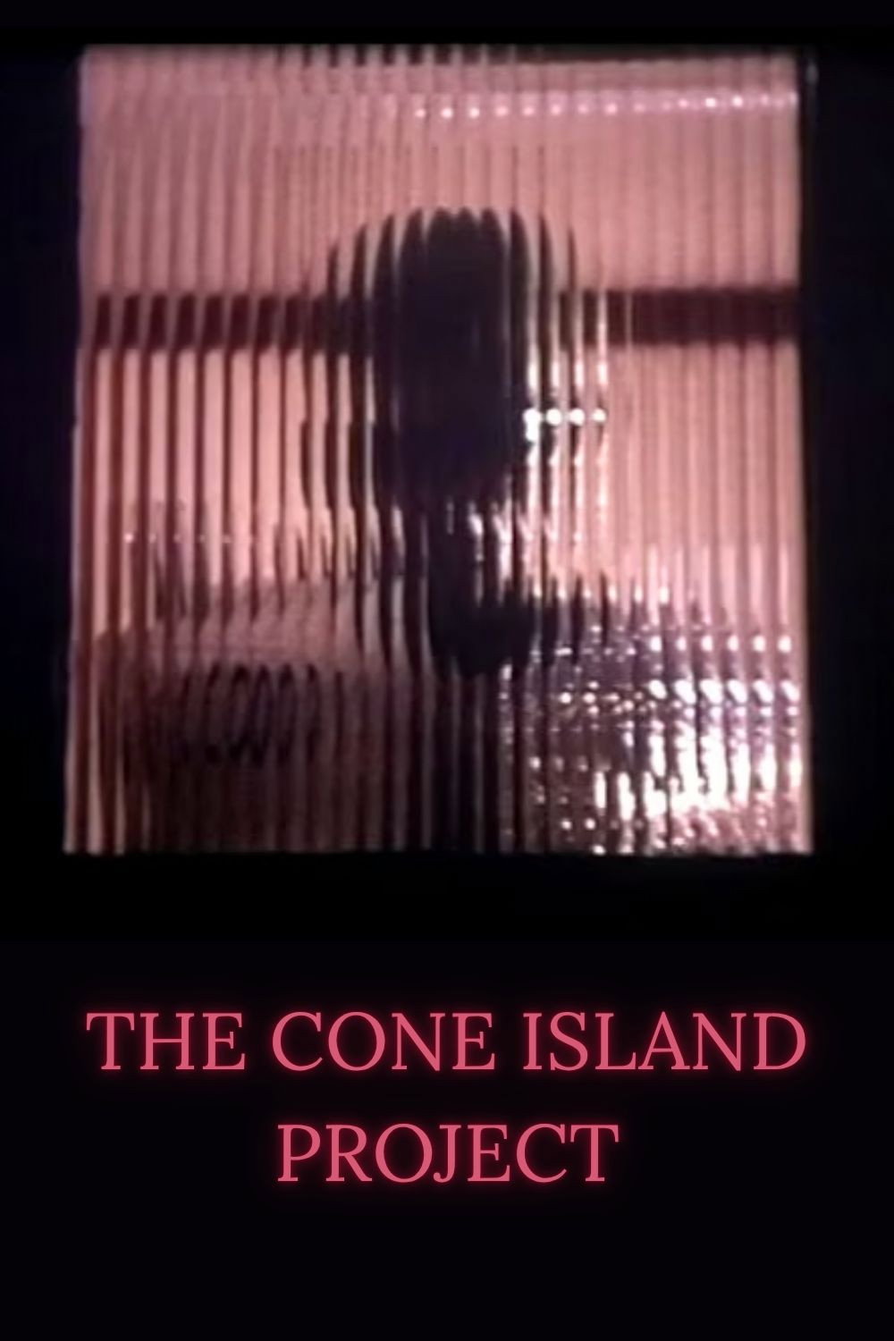 The Cone Island Project poster