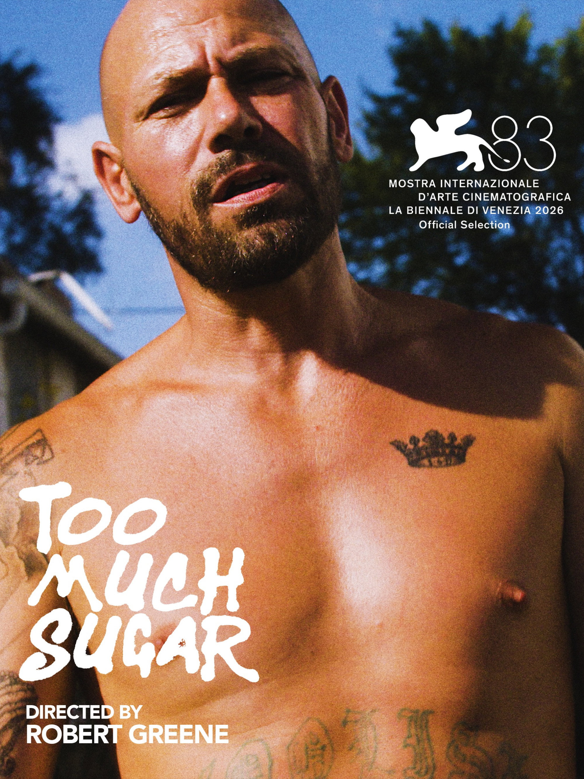 Too Much Sugar poster