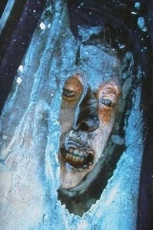 The Franklin Expedition - Buried in Ice poster