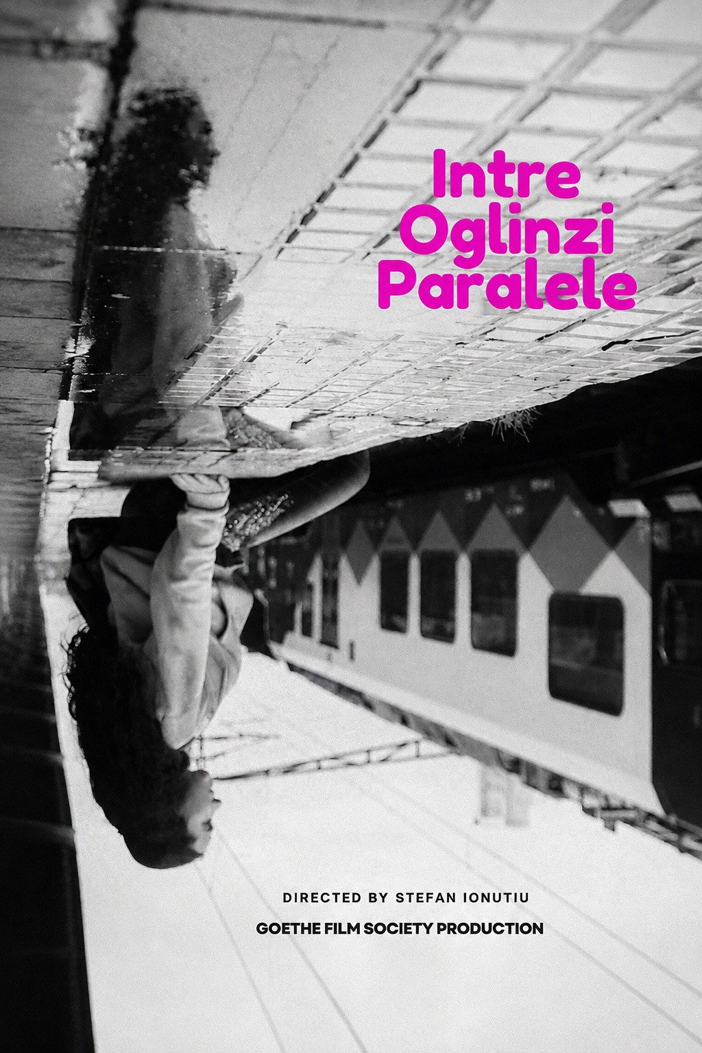Through Parallel Mirrors poster