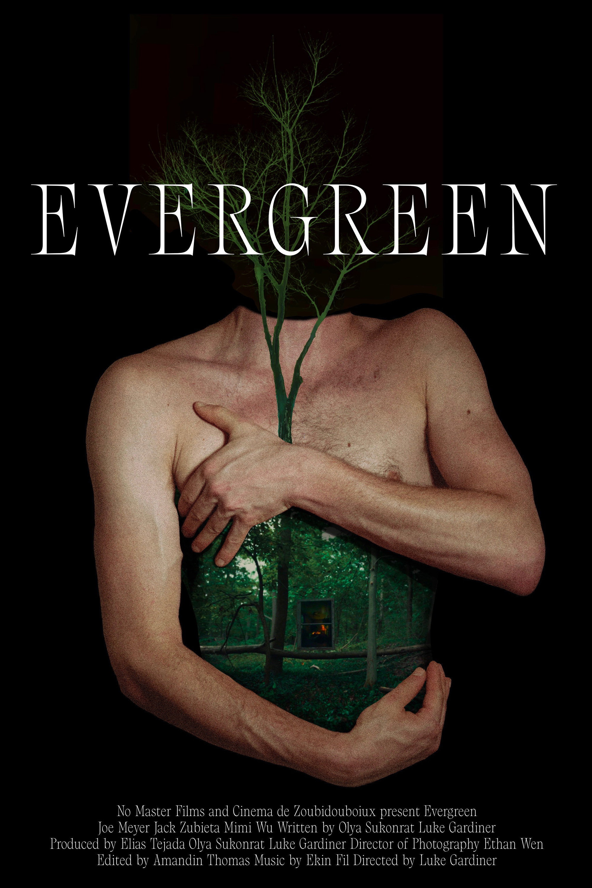Evergreen poster