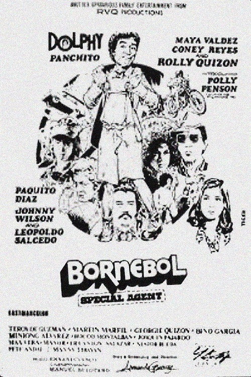 Bornebol: Special Agent poster