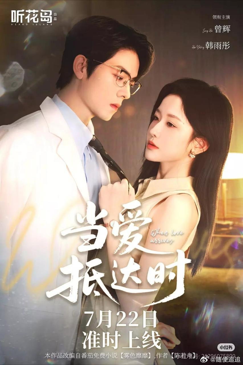 当爱抵达时 poster