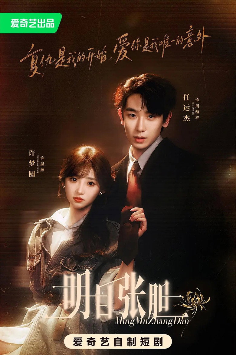明目张胆 poster
