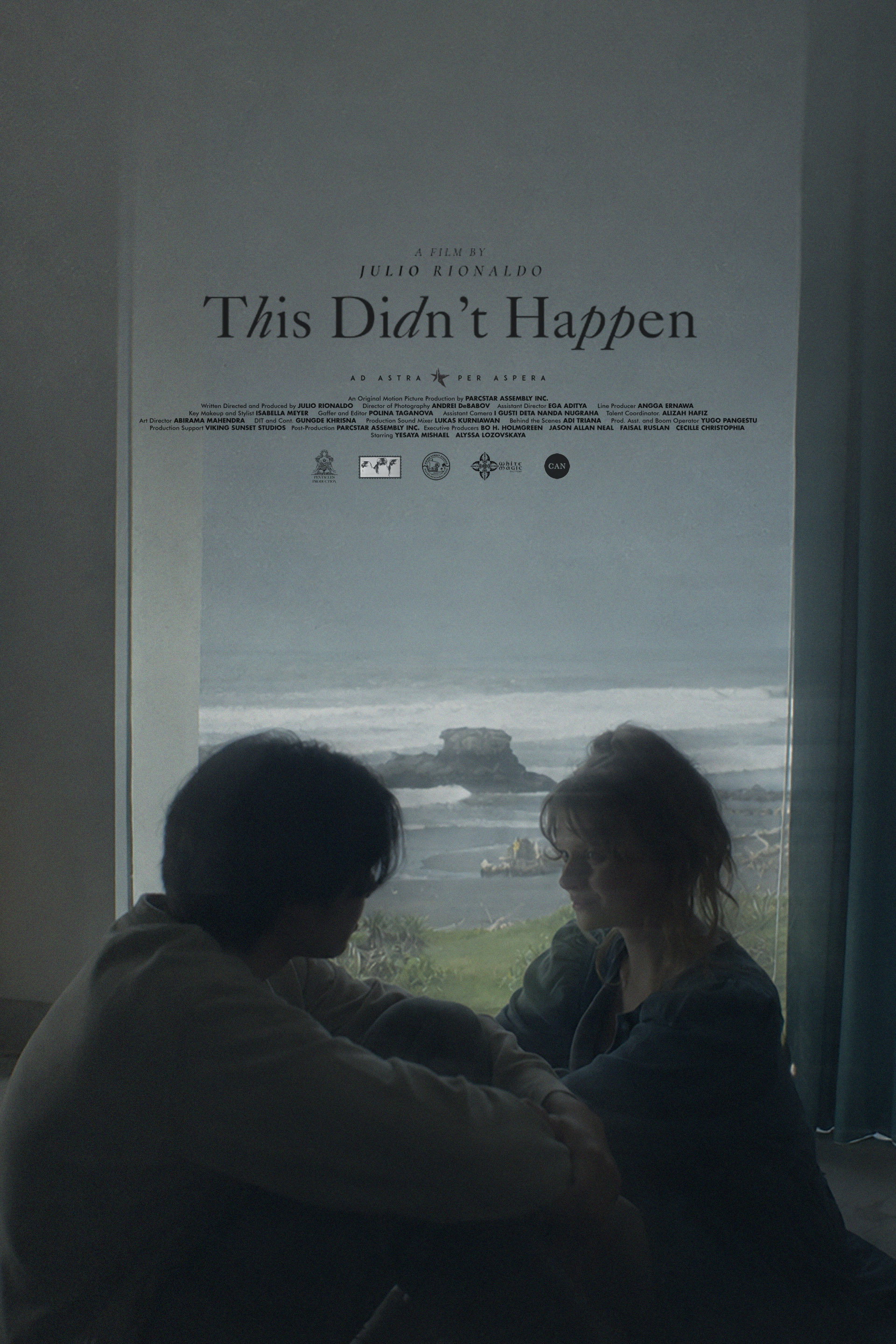 This Didn't Happen poster