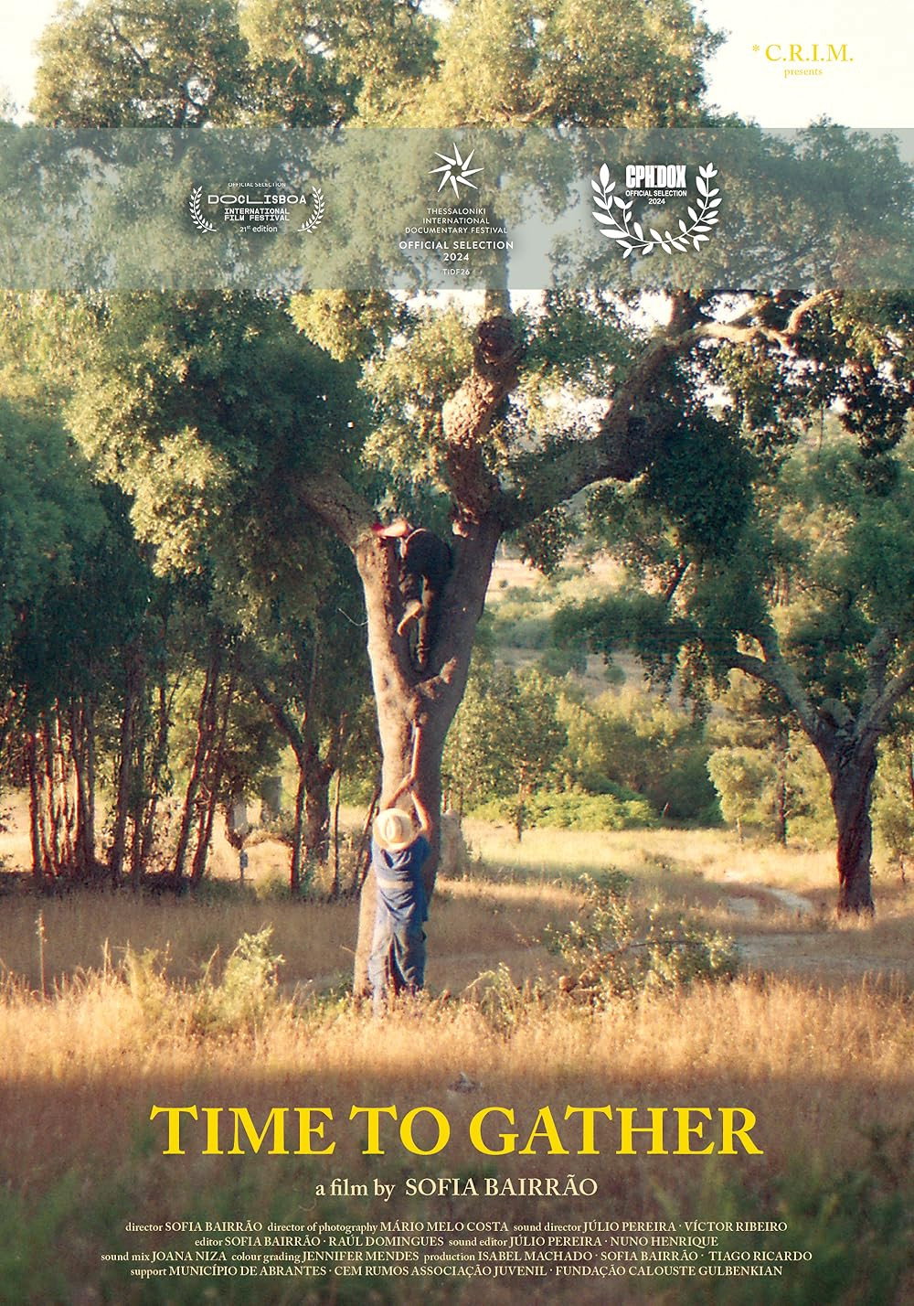 Time to Gather poster