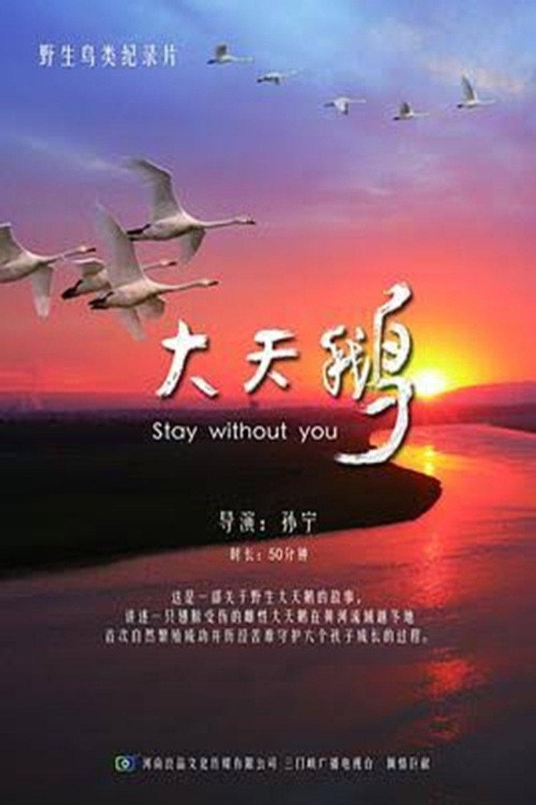 大天鹅 poster