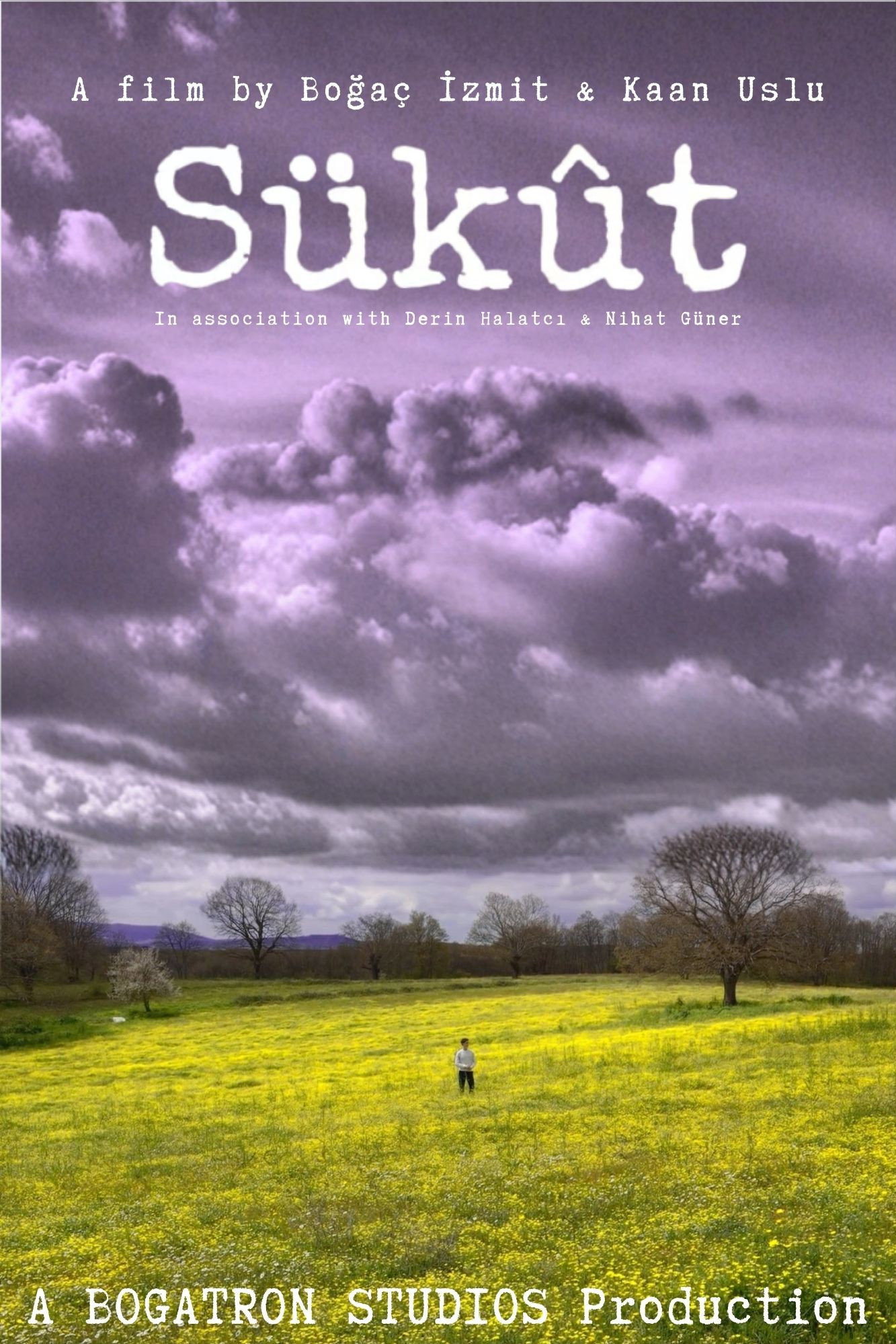 Sükût poster