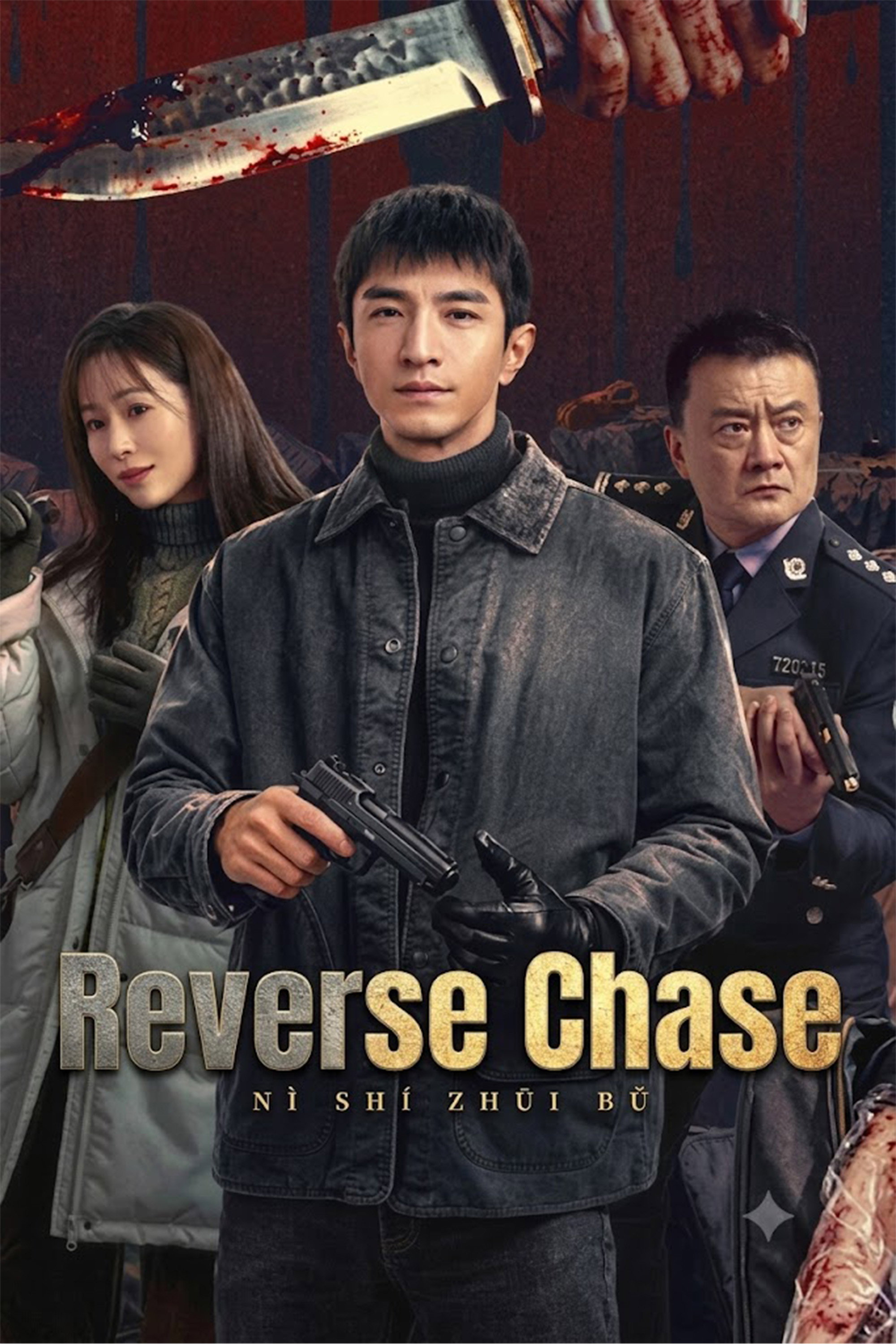 Reverse Chase poster