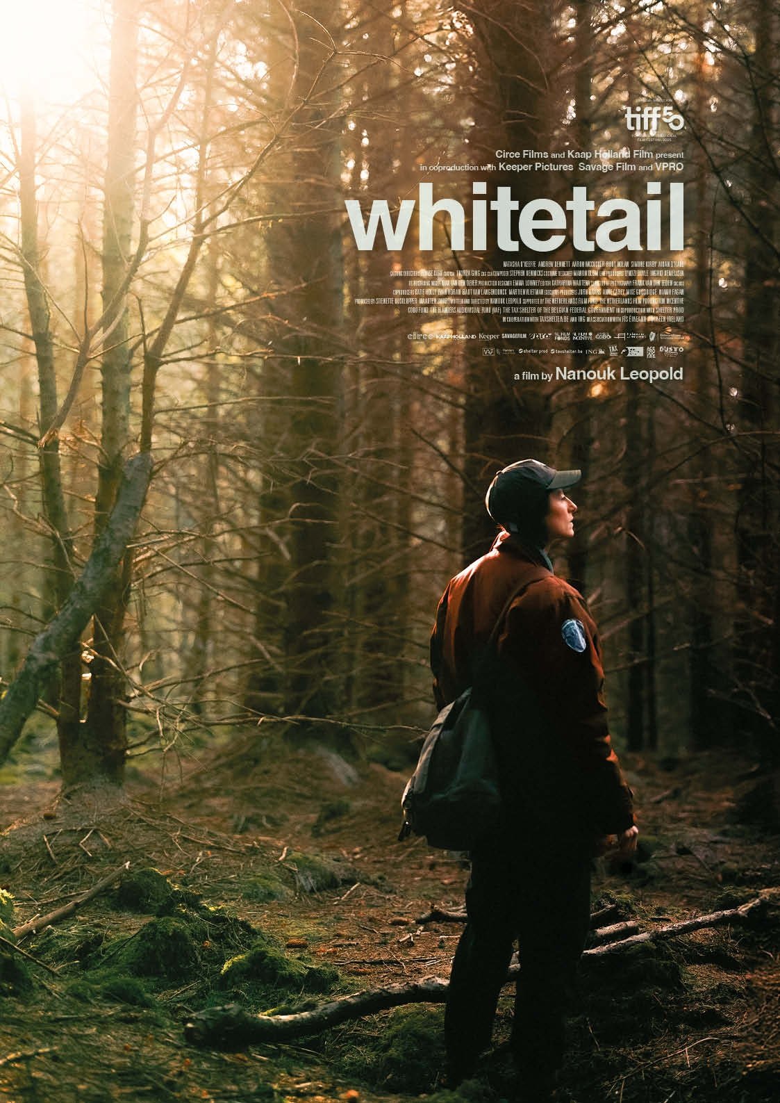Whitetail poster