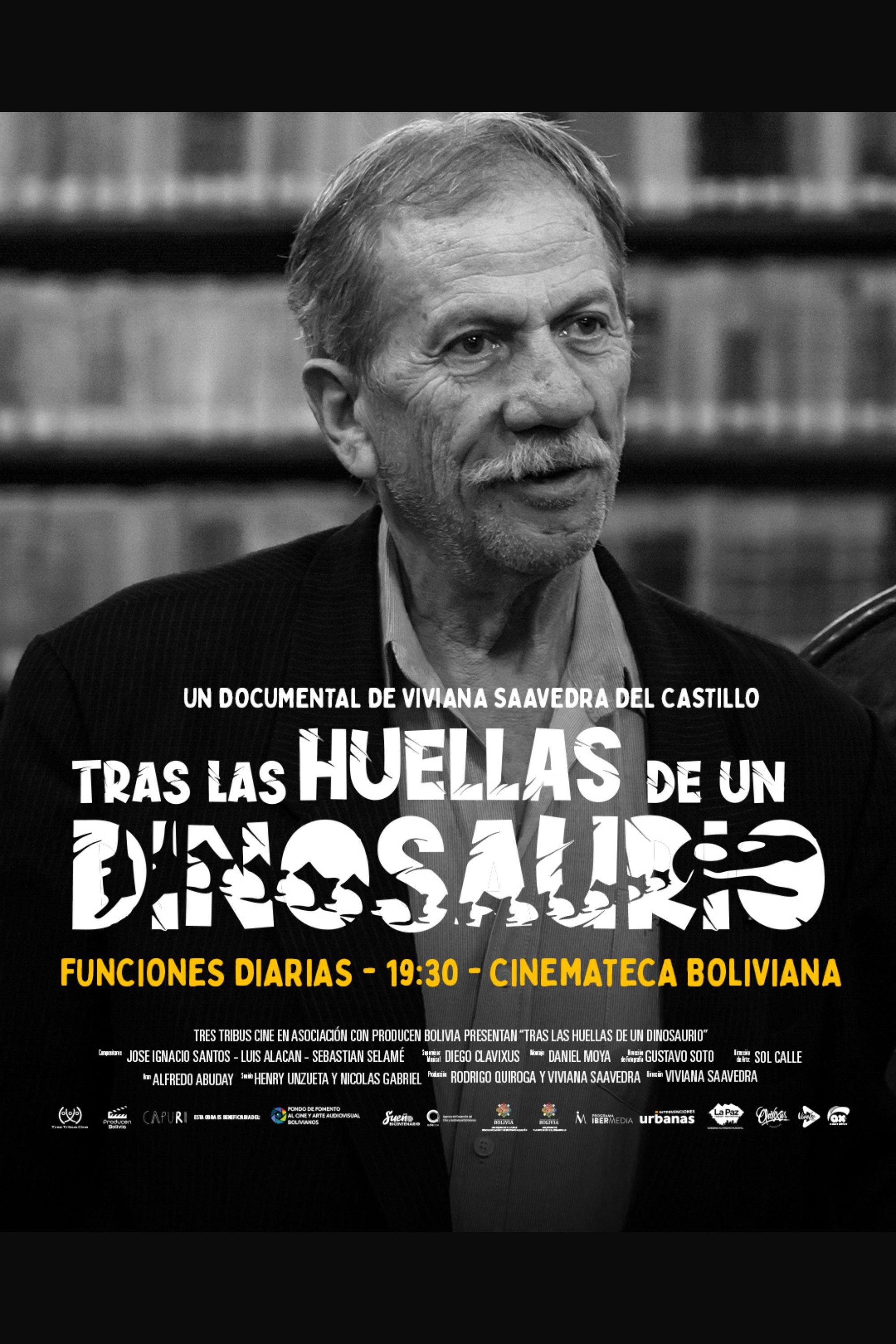 Tras las Huellas de un Dinosaurio poster