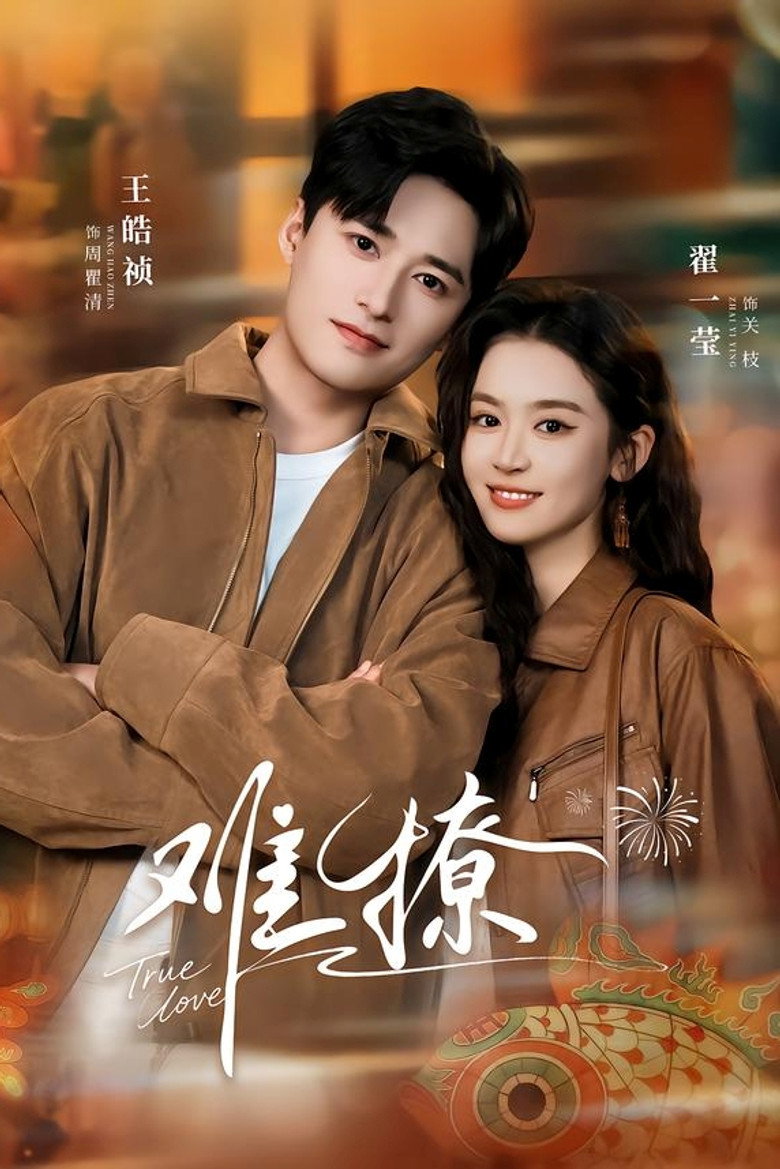 难撩 poster