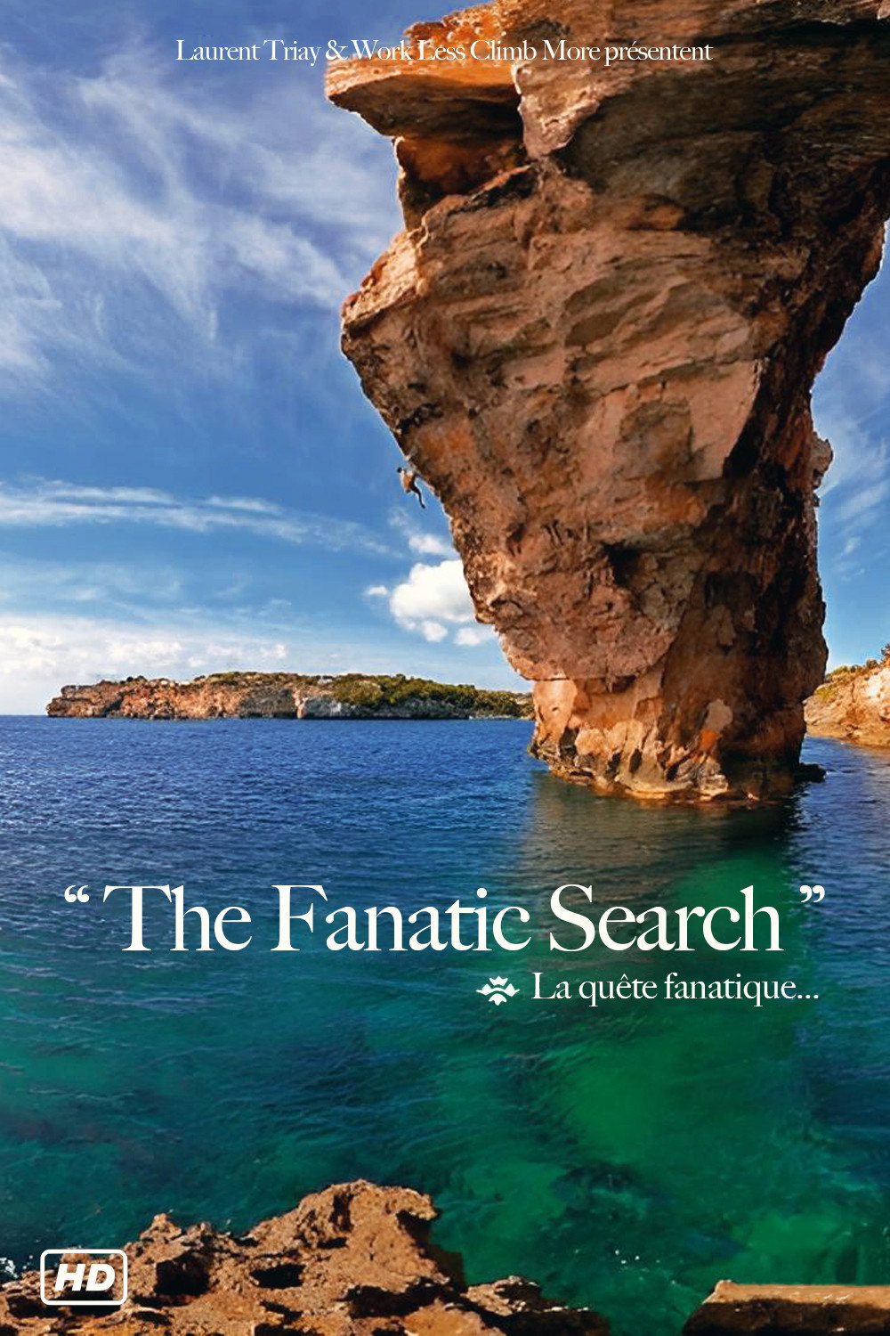 The Fanatic Search poster