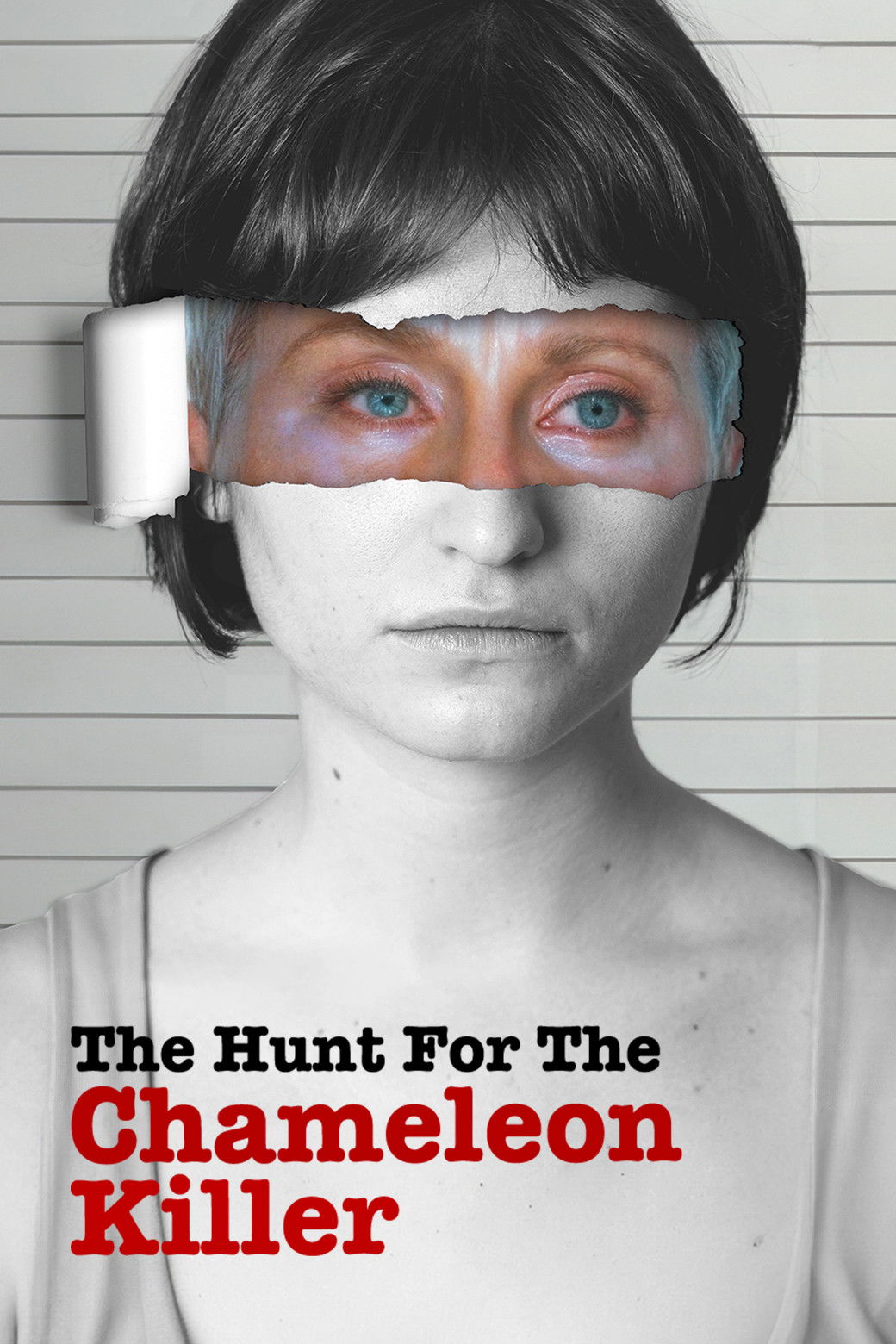 The Hunt for the Chameleon Killer poster