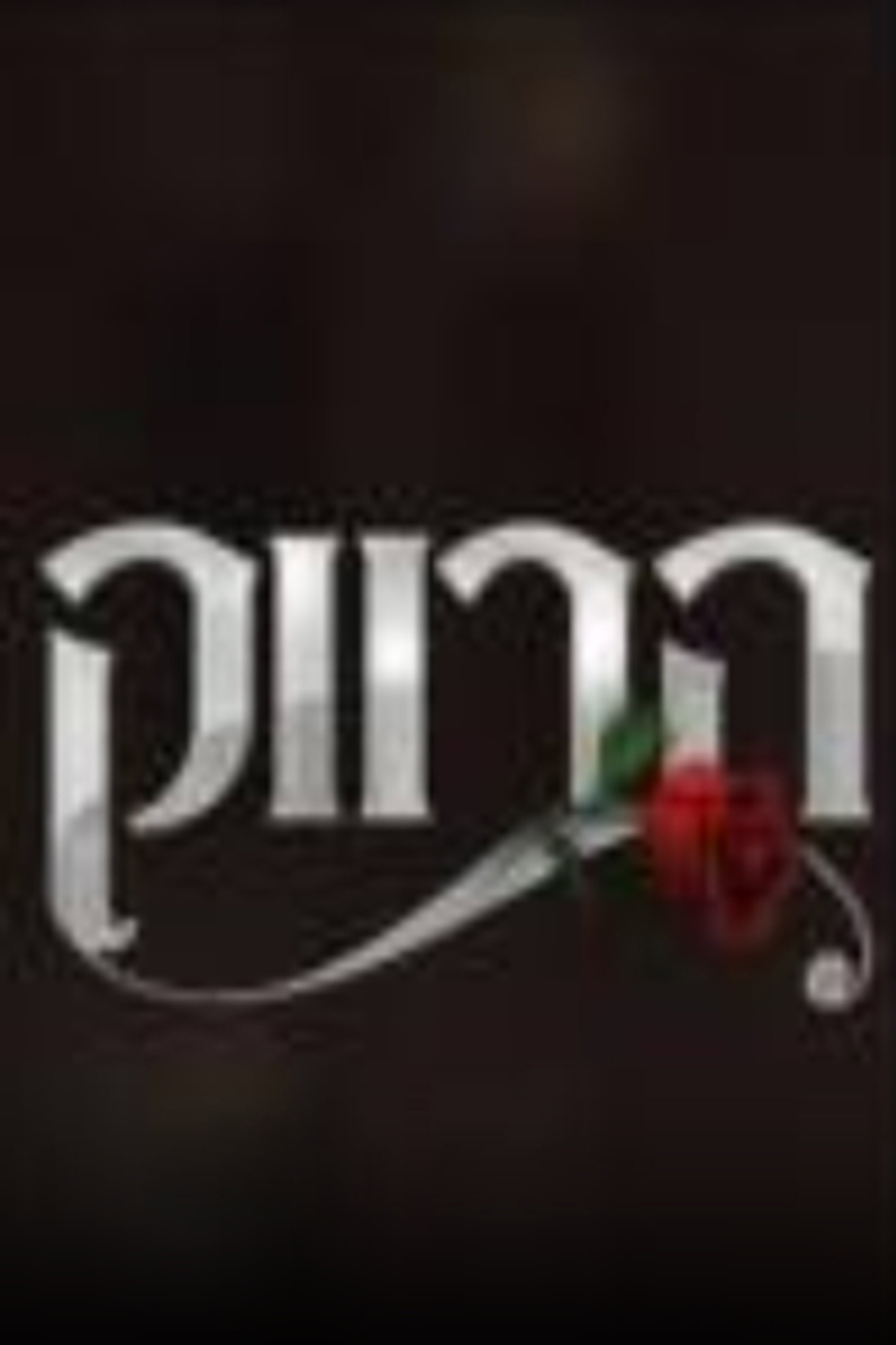 הרווק: ישראל poster