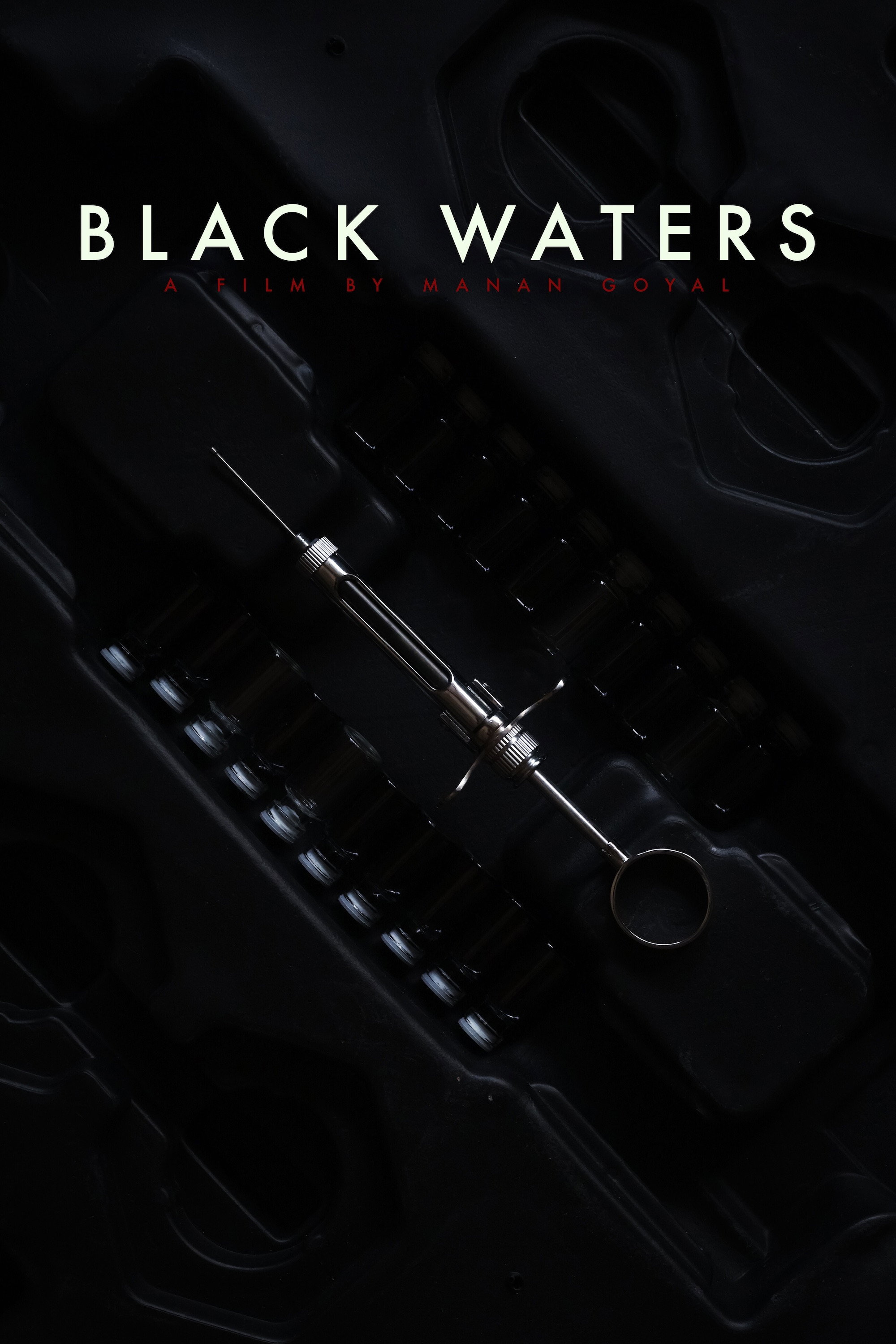 Black Waters poster