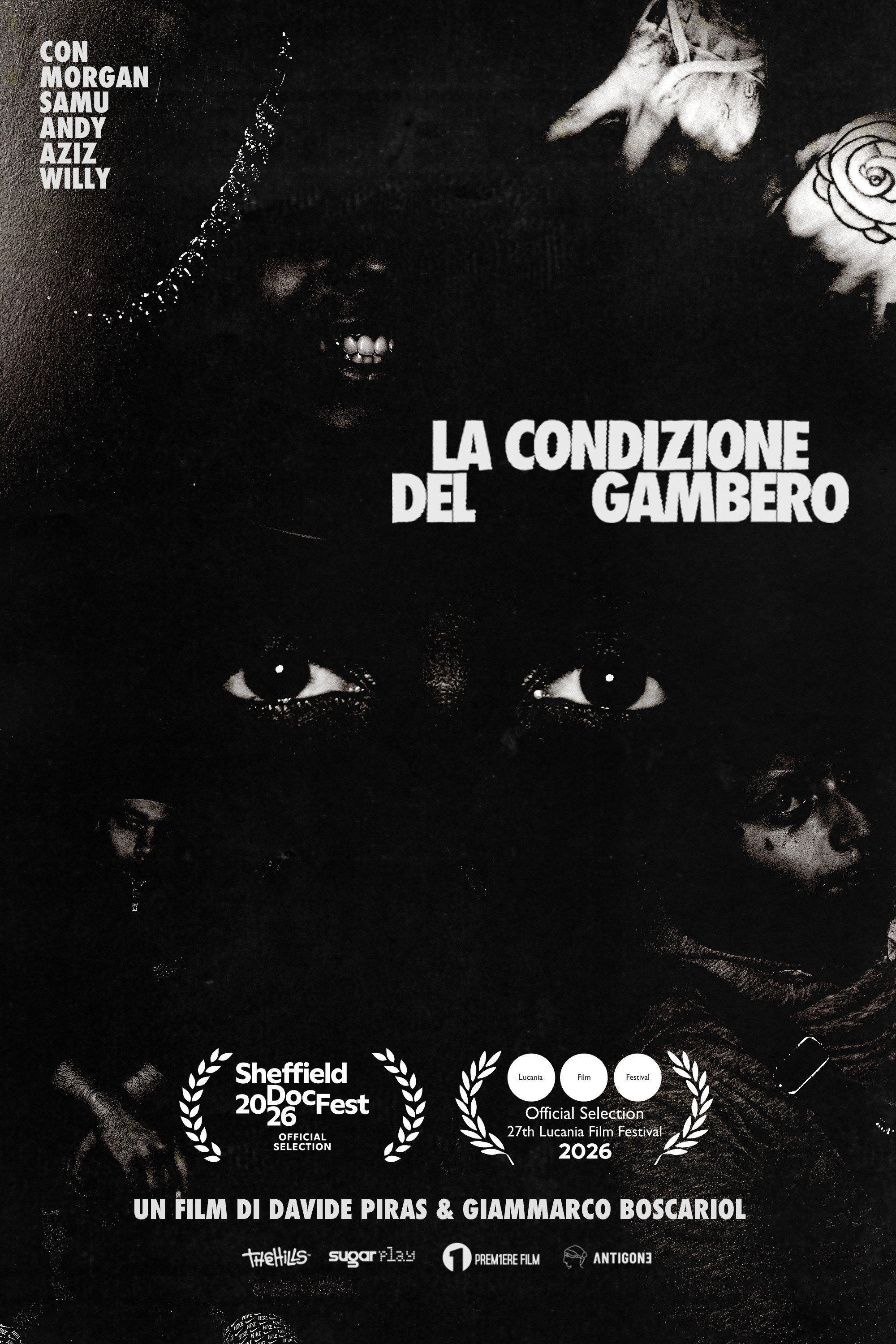 The Shrimp Condition poster