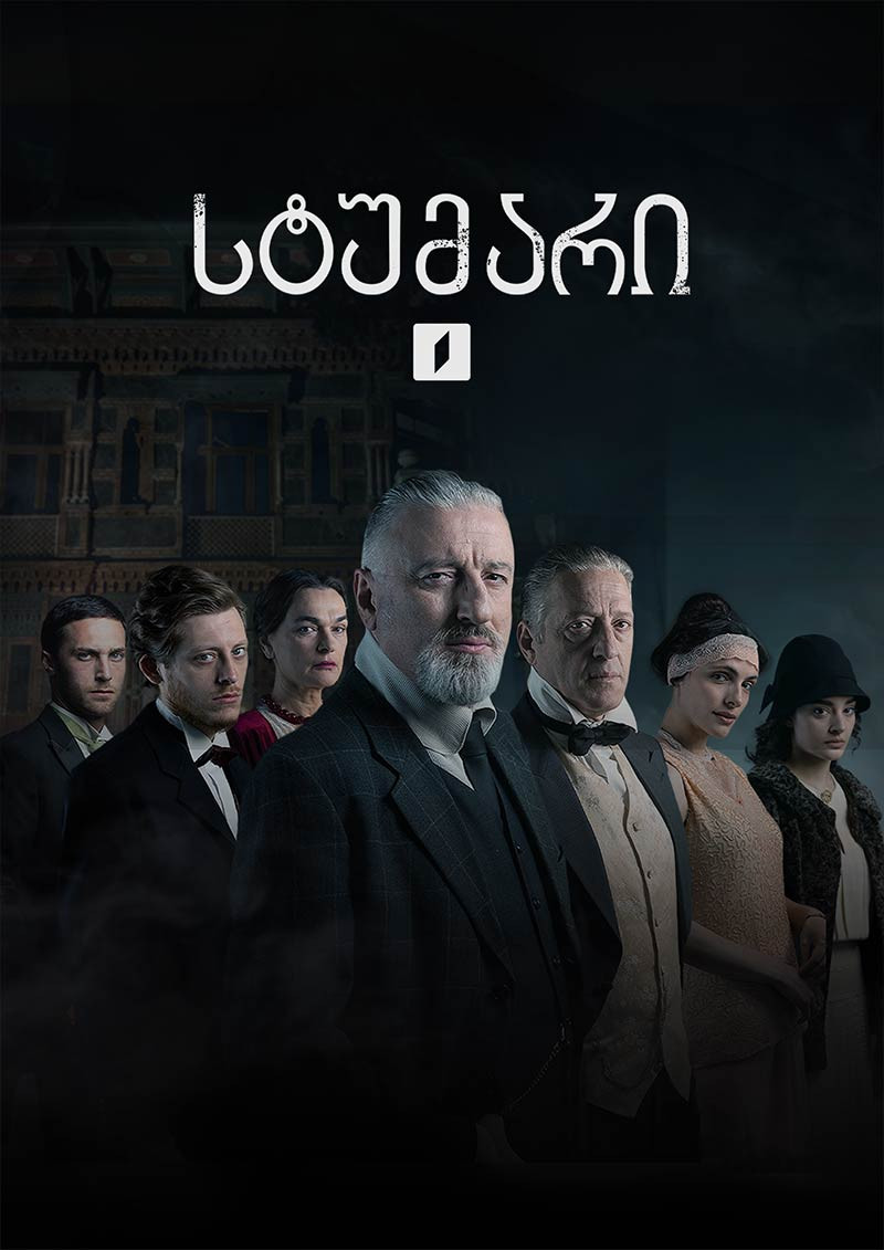 სტუმარი poster