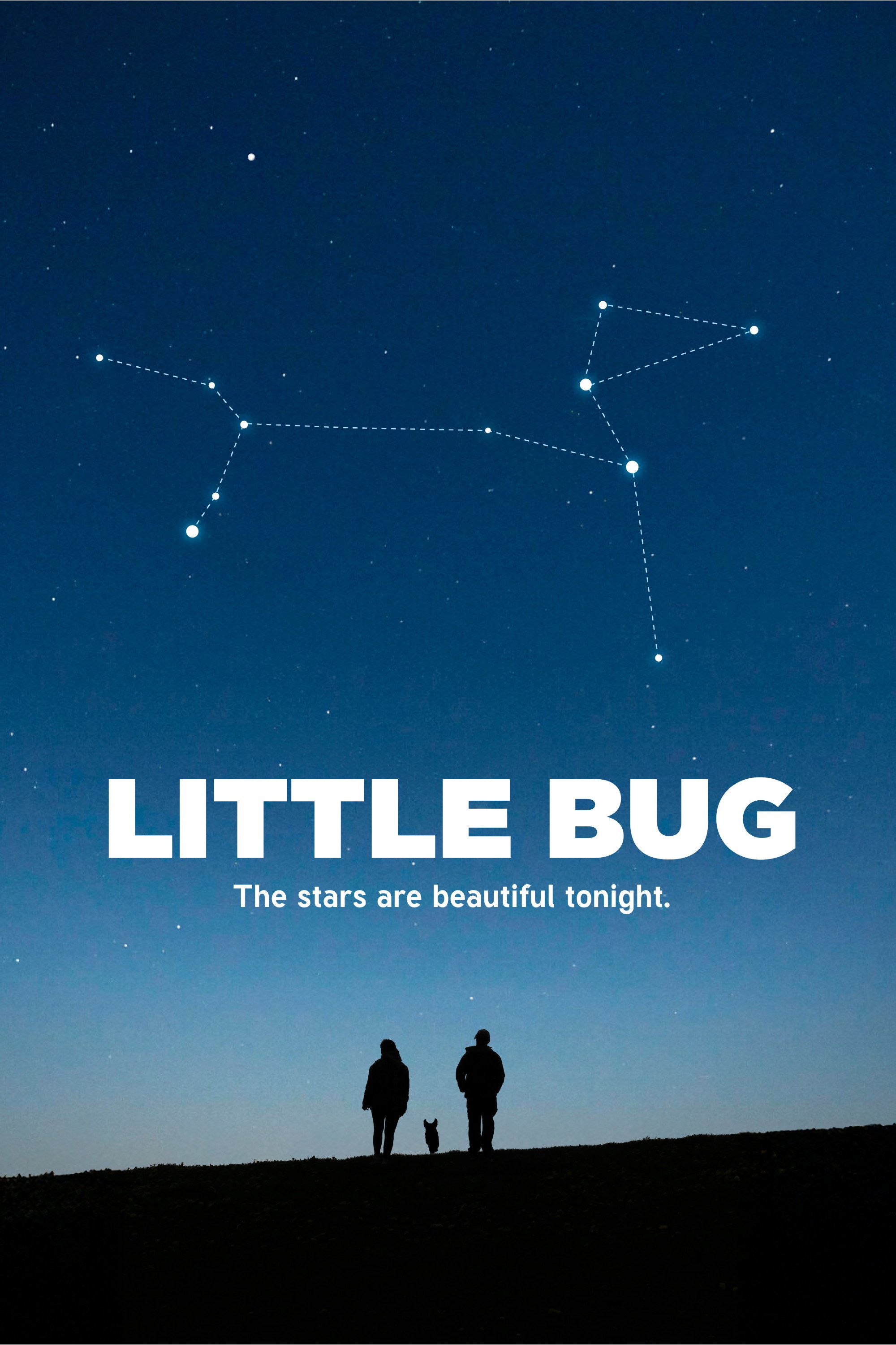 Little Bug poster