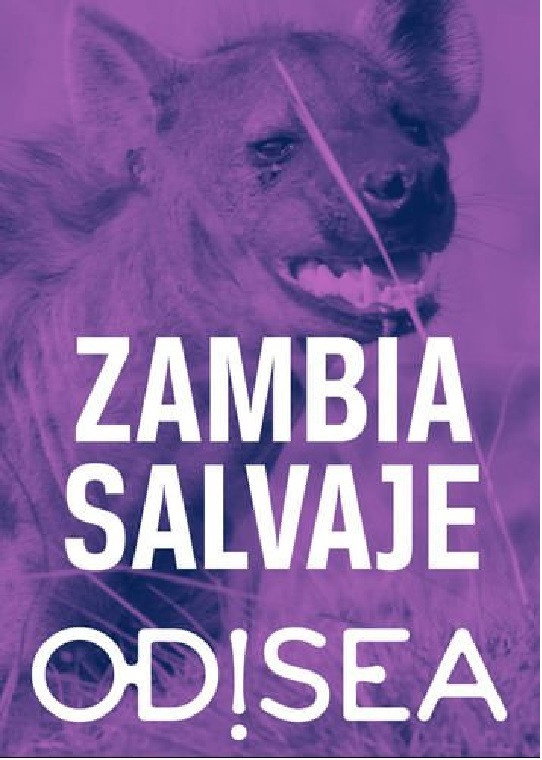 Tales from Zambia poster