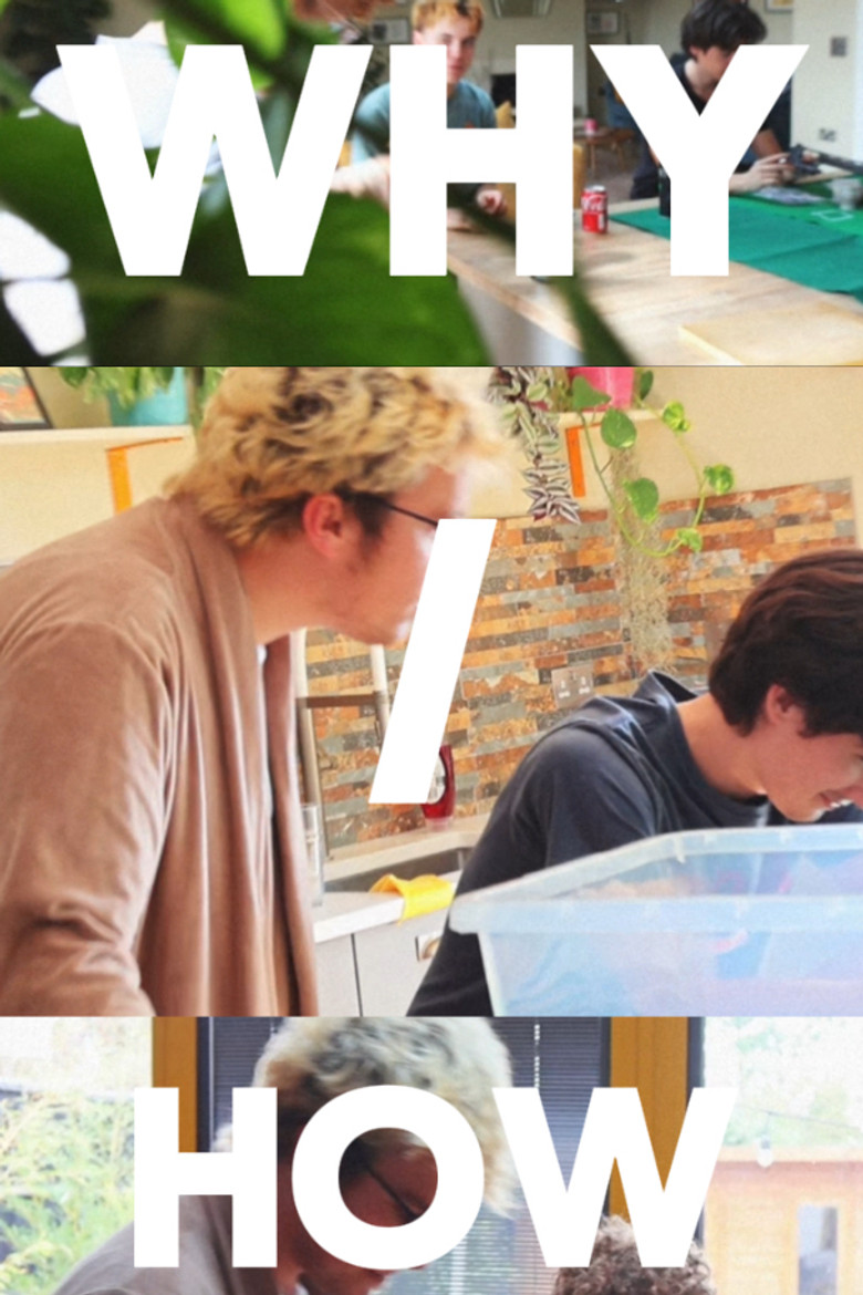 Why/how poster