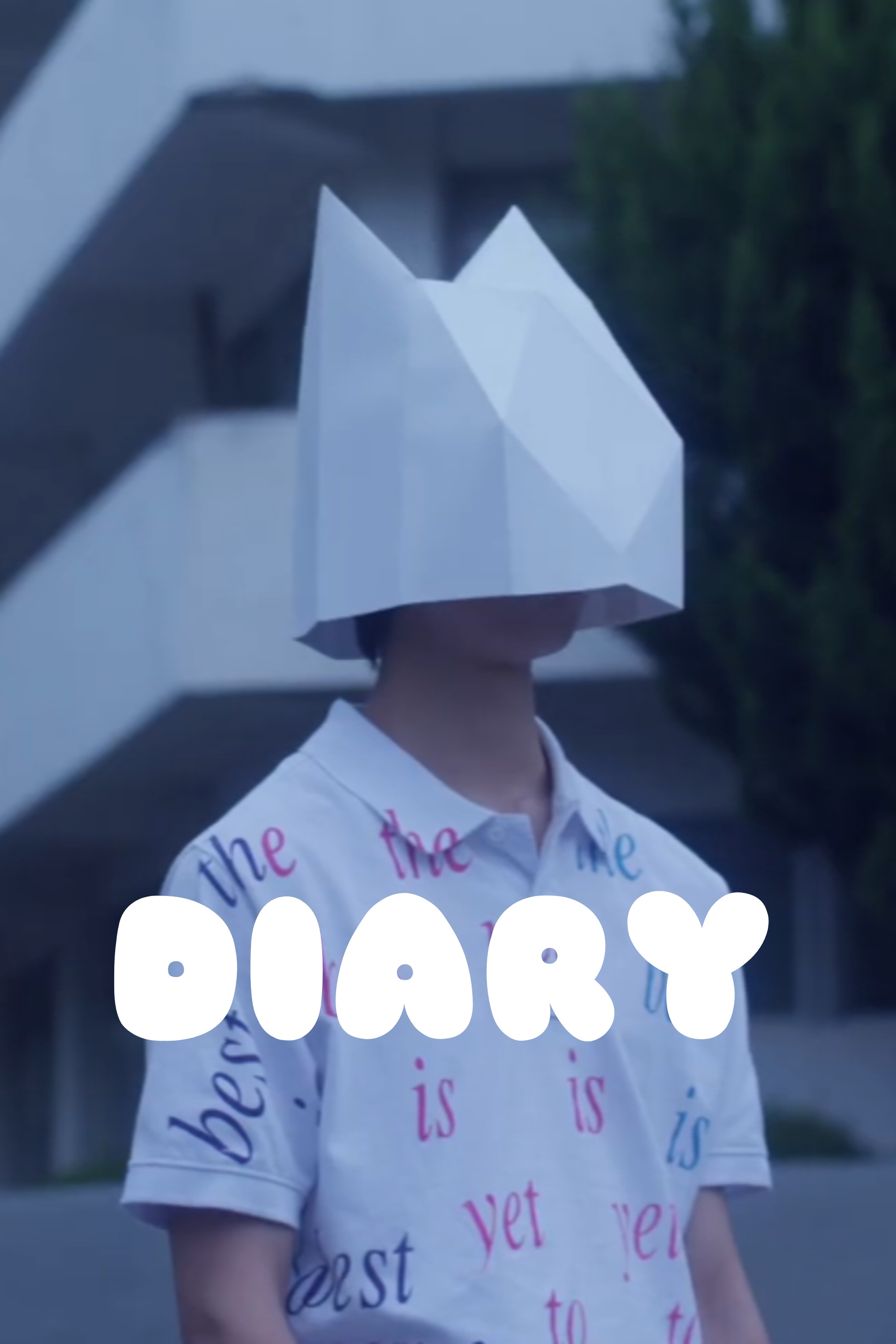 DIARY poster