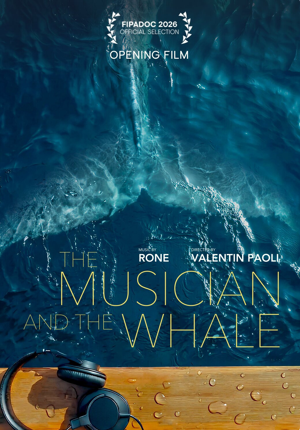 The Whale and the Musician poster