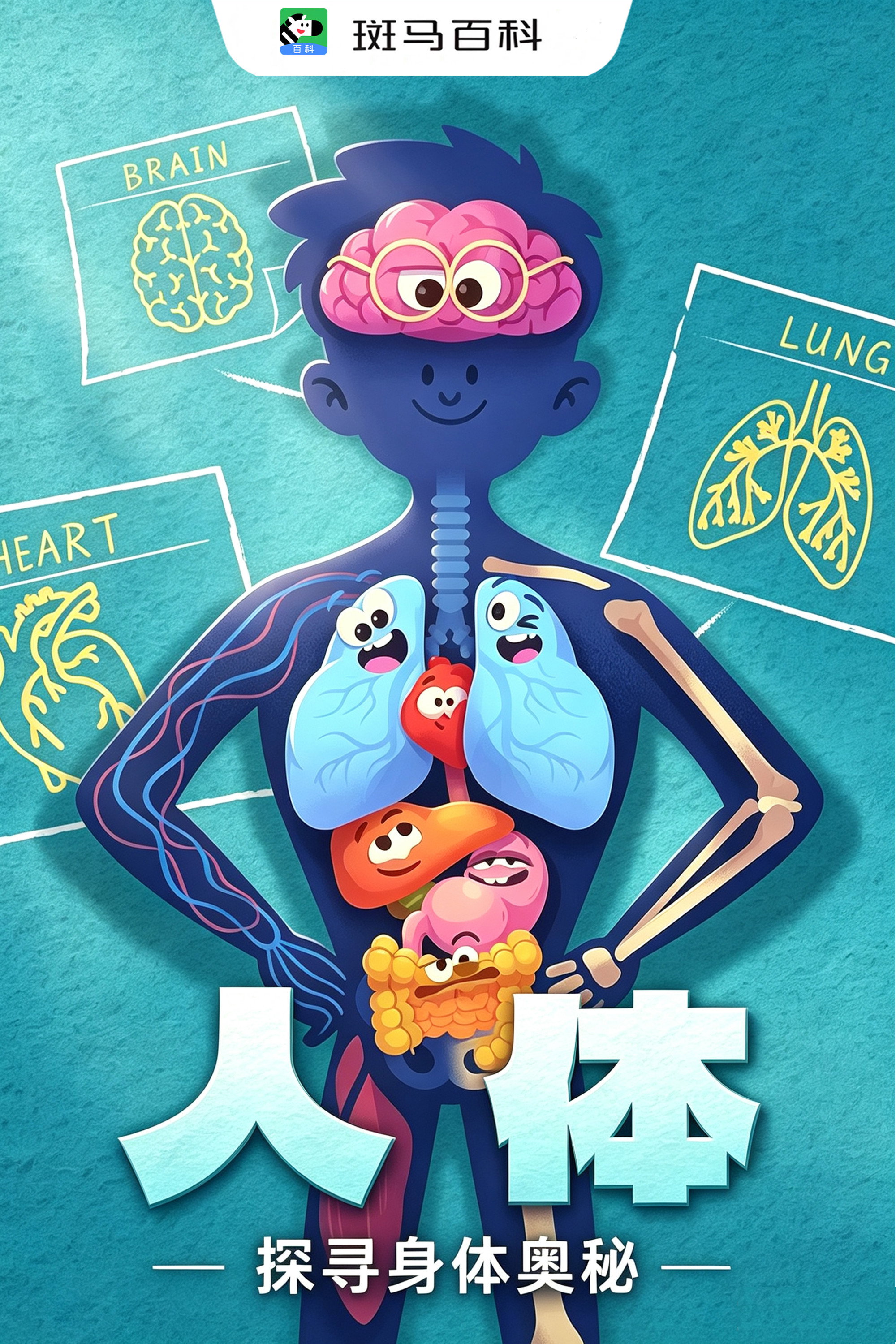自然万象—人体 poster