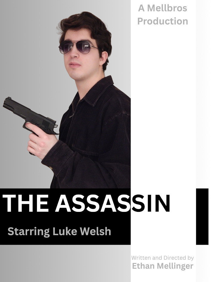 The Assassin poster