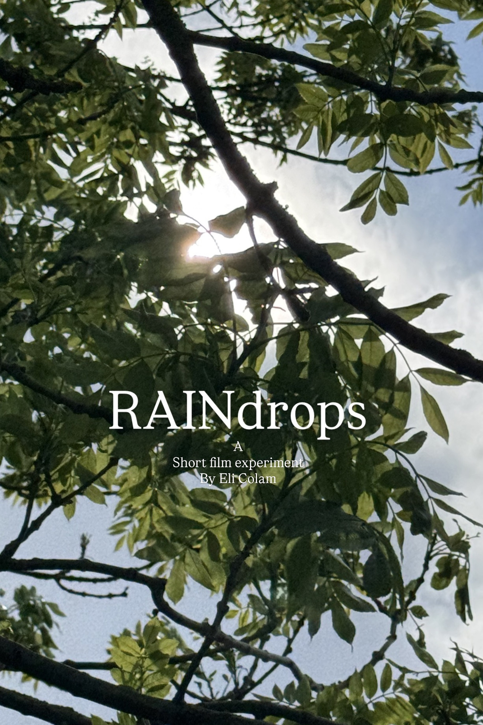 raindrops poster
