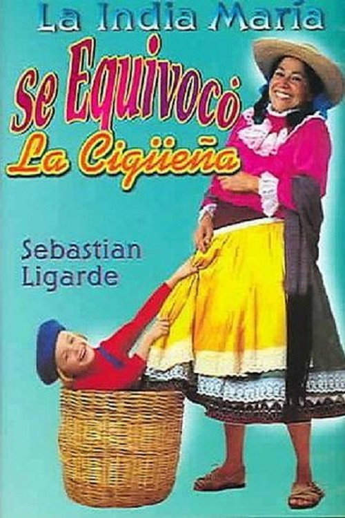 The Stork's Mistake poster