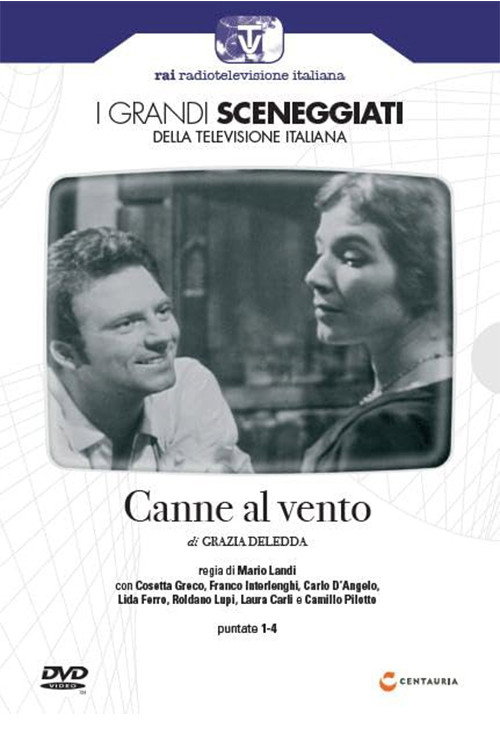 Canne al Vento poster