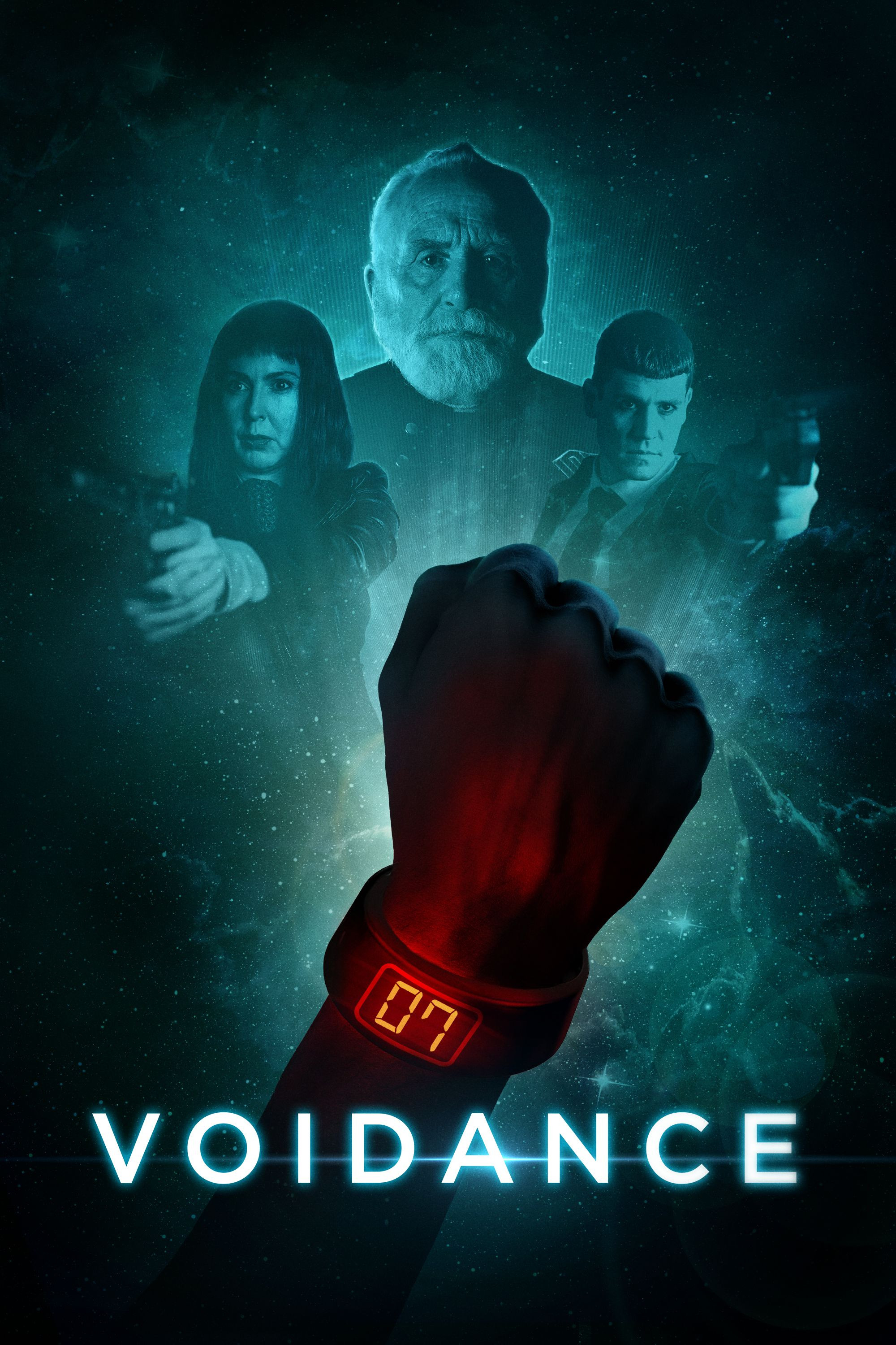 Voidance poster