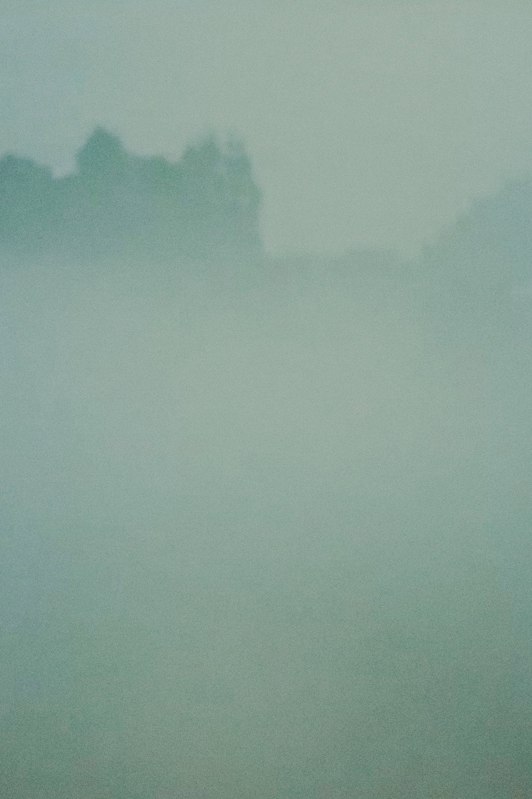 Fog poster
