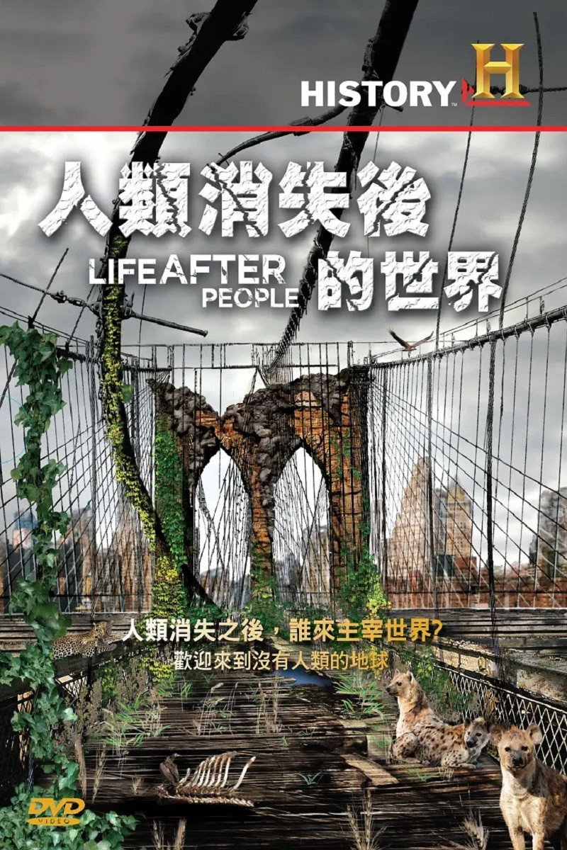 人类消失后的世界 poster