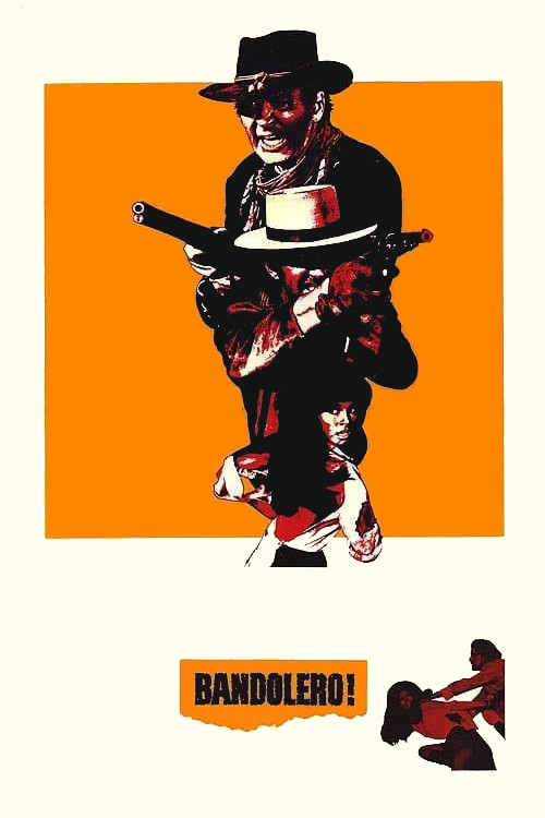 Bandolero! poster