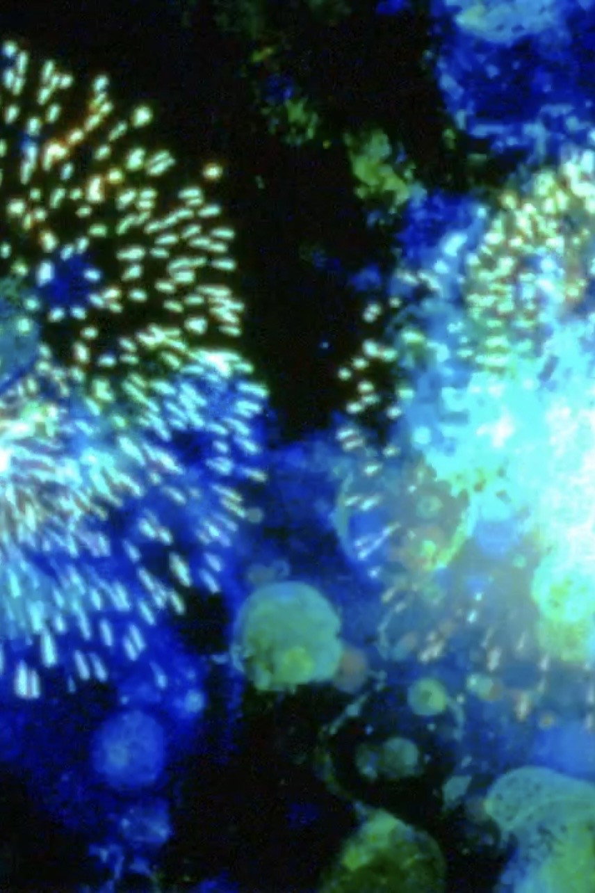 14 Juillet poster